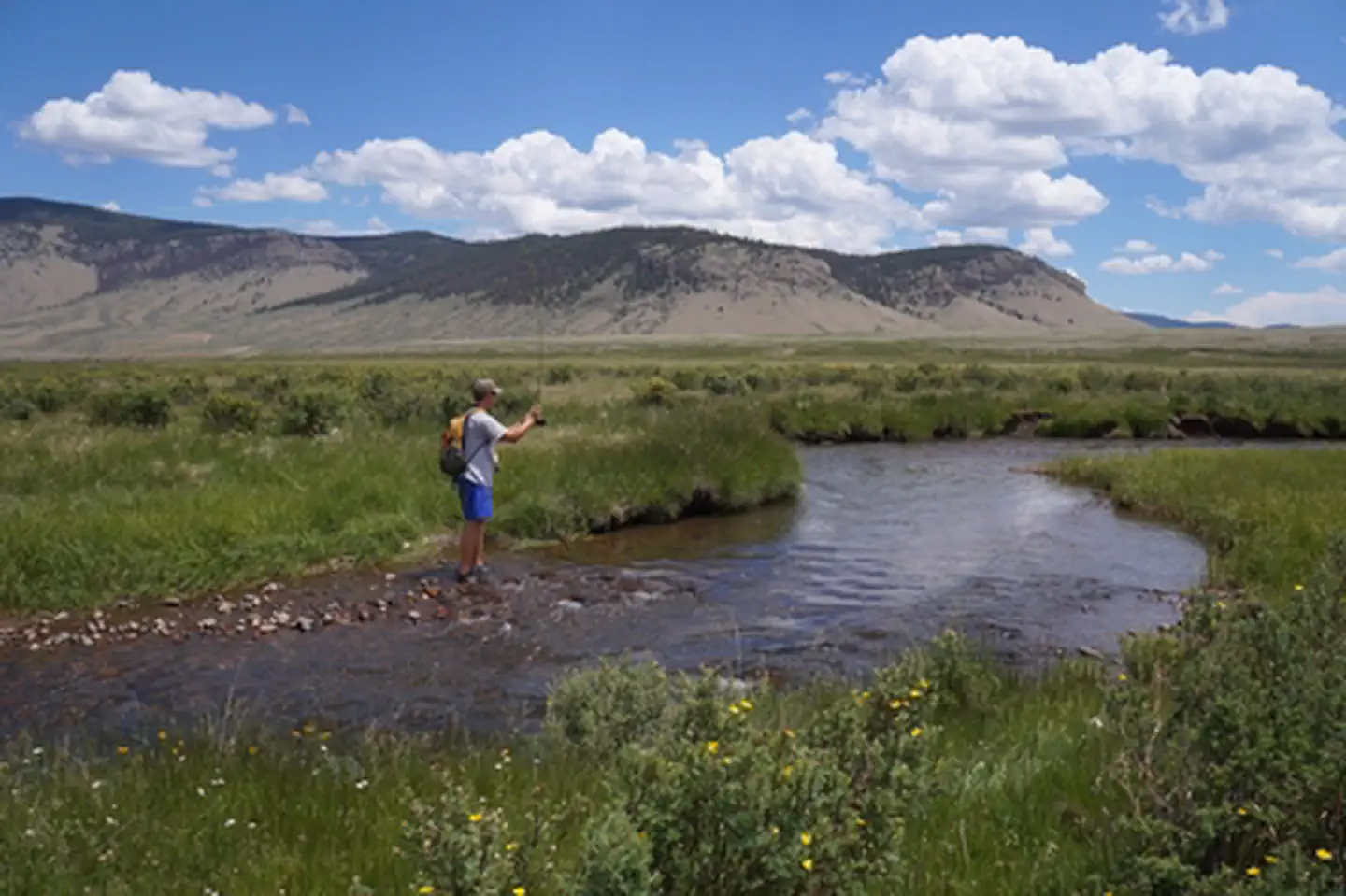 Cochetopa Creek Rec Site photo