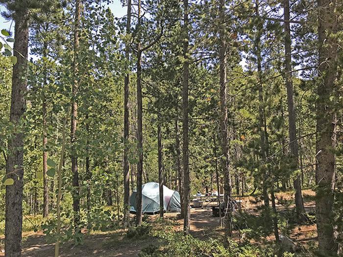 Cottonwood Campground photo