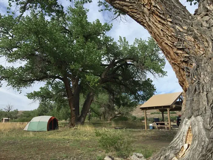 Cottonwood Grove Campground photo 2