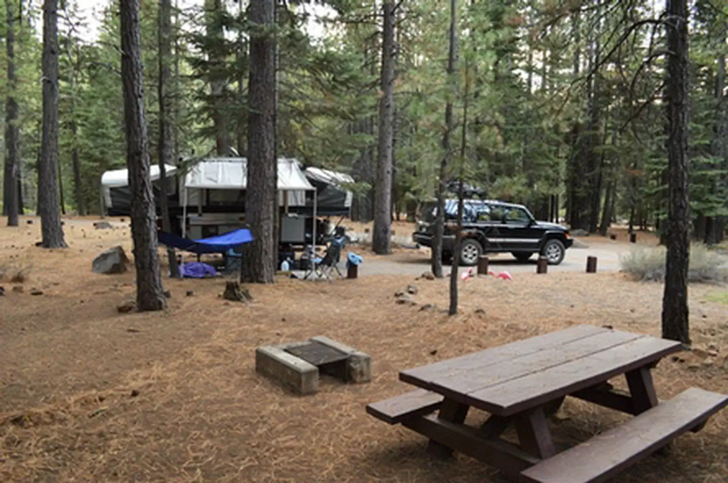 Cottonwood Grove Campground photo 3