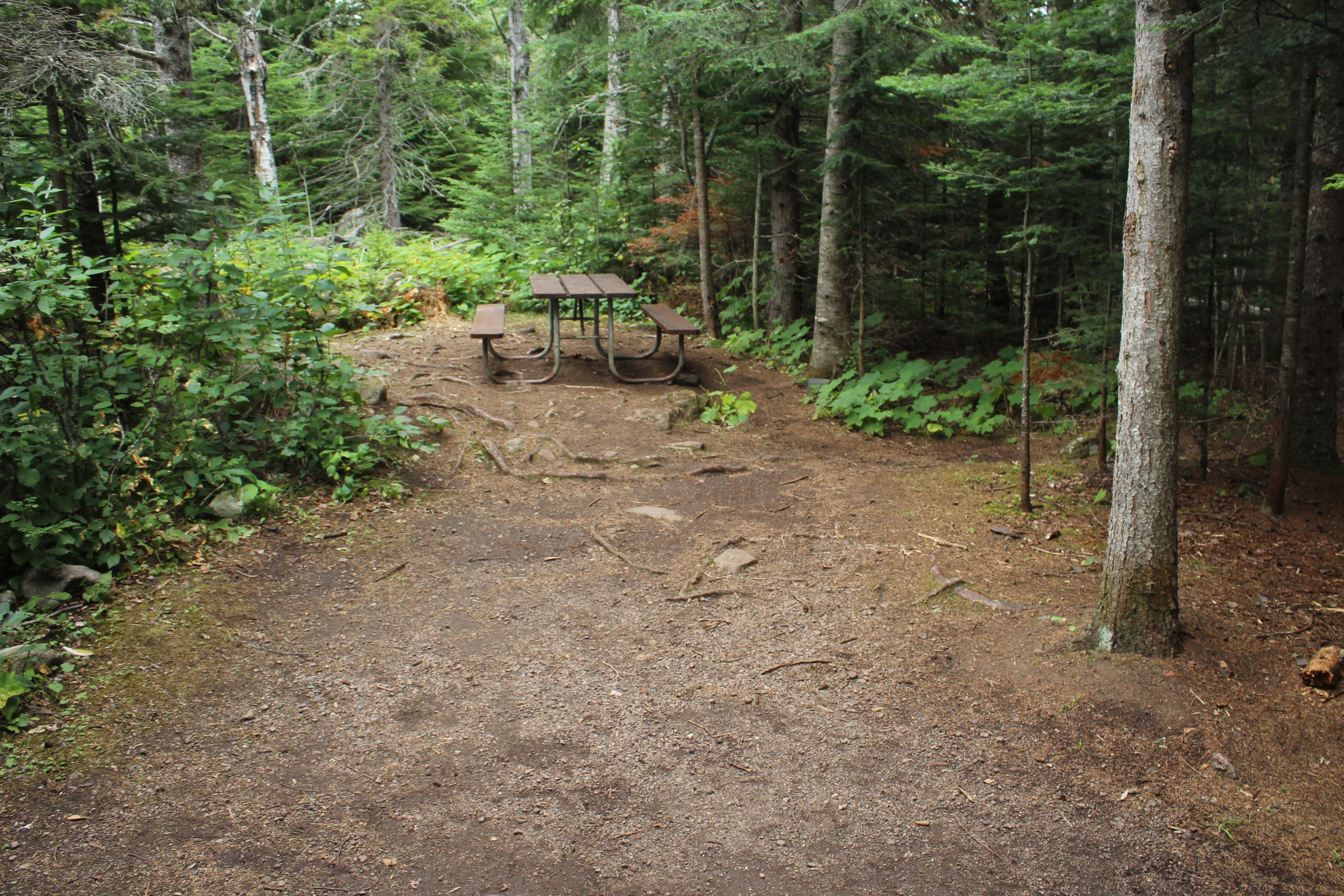 Daisy Farm Campground photo 2