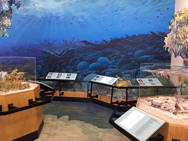 Dante Fascell Visitor Center photo 2