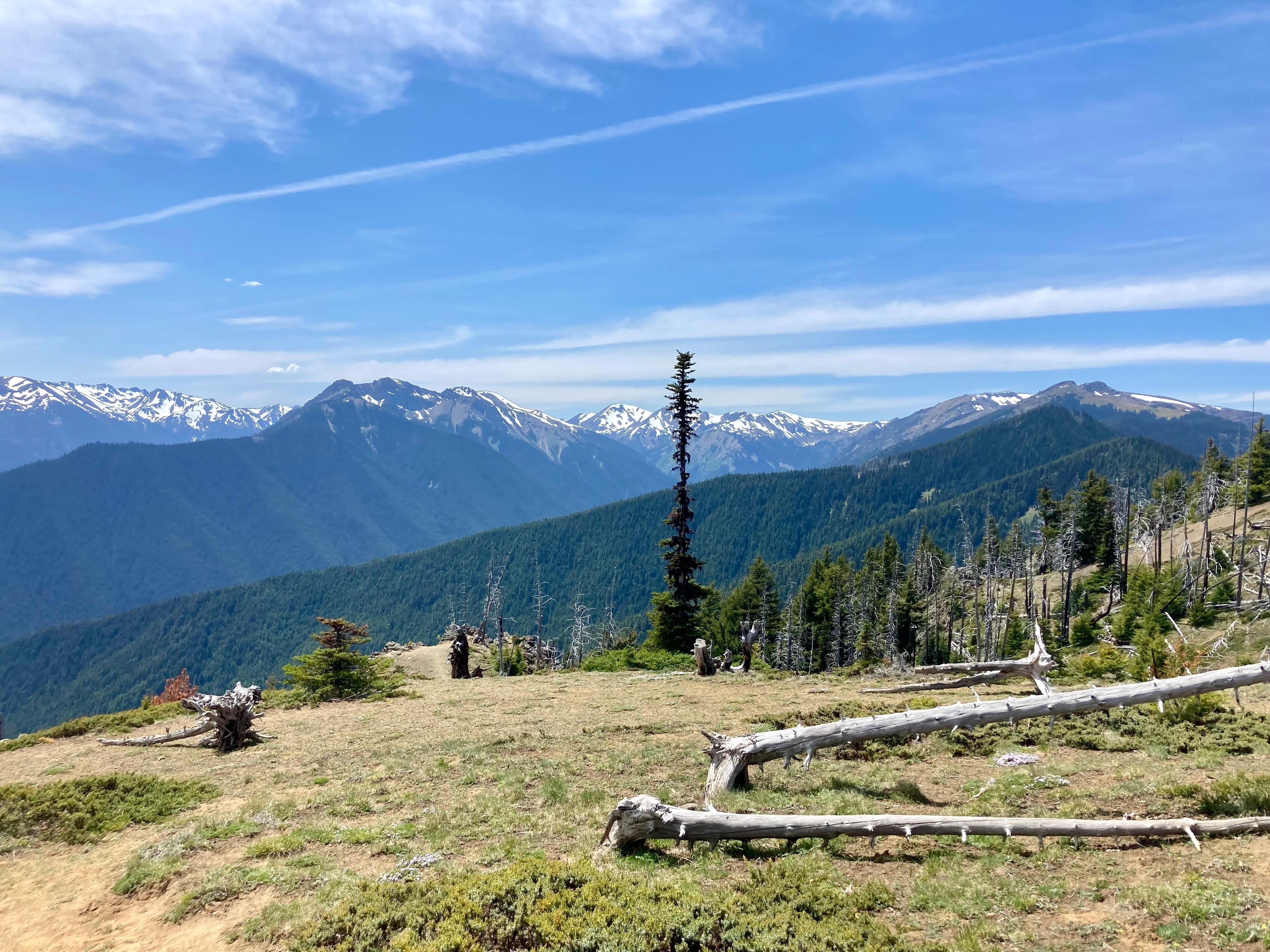Deer Park Campground photo