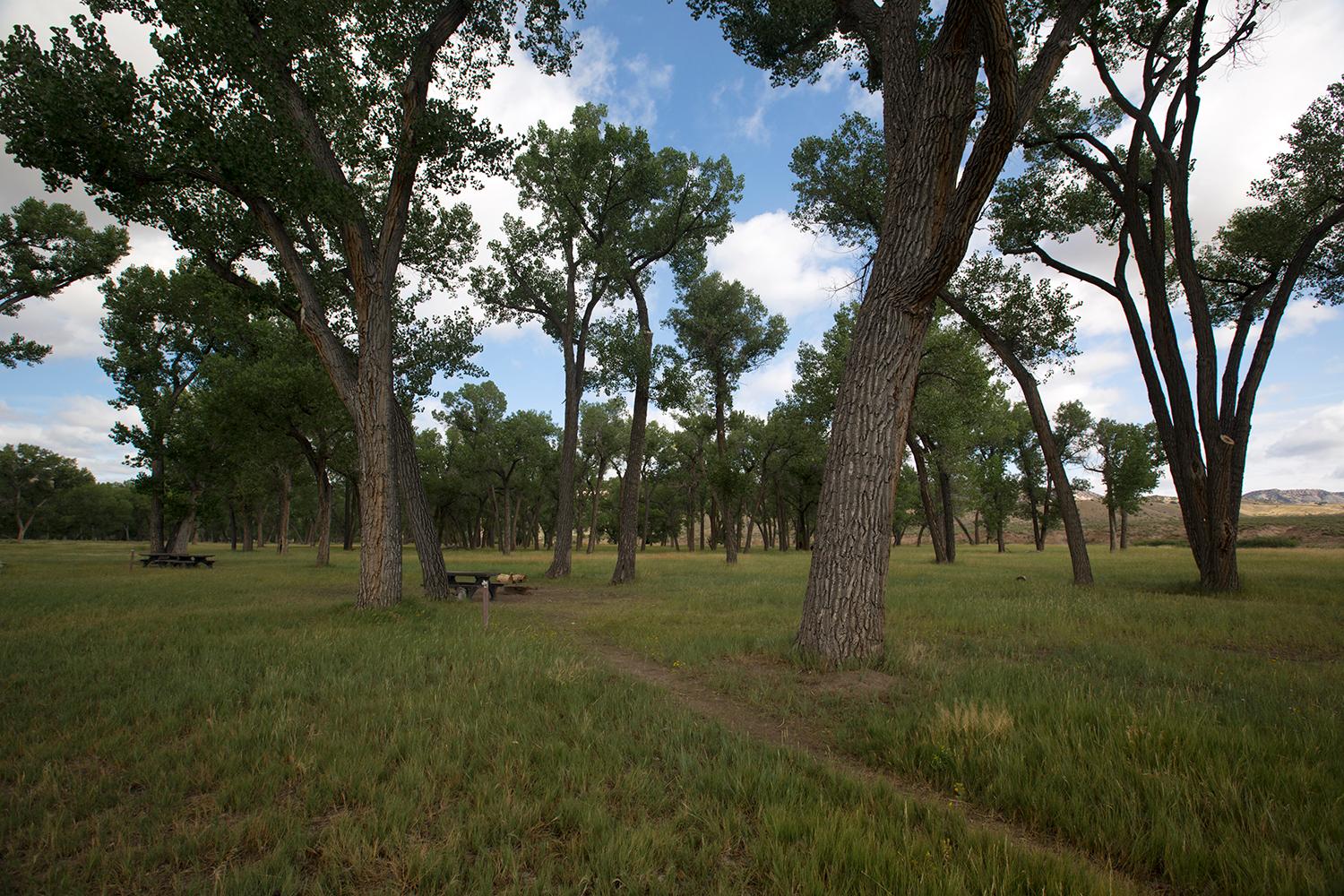 Deerlodge Park Campground photo 2