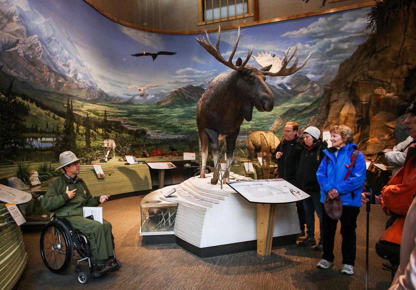 Denali Visitor Center photo 5