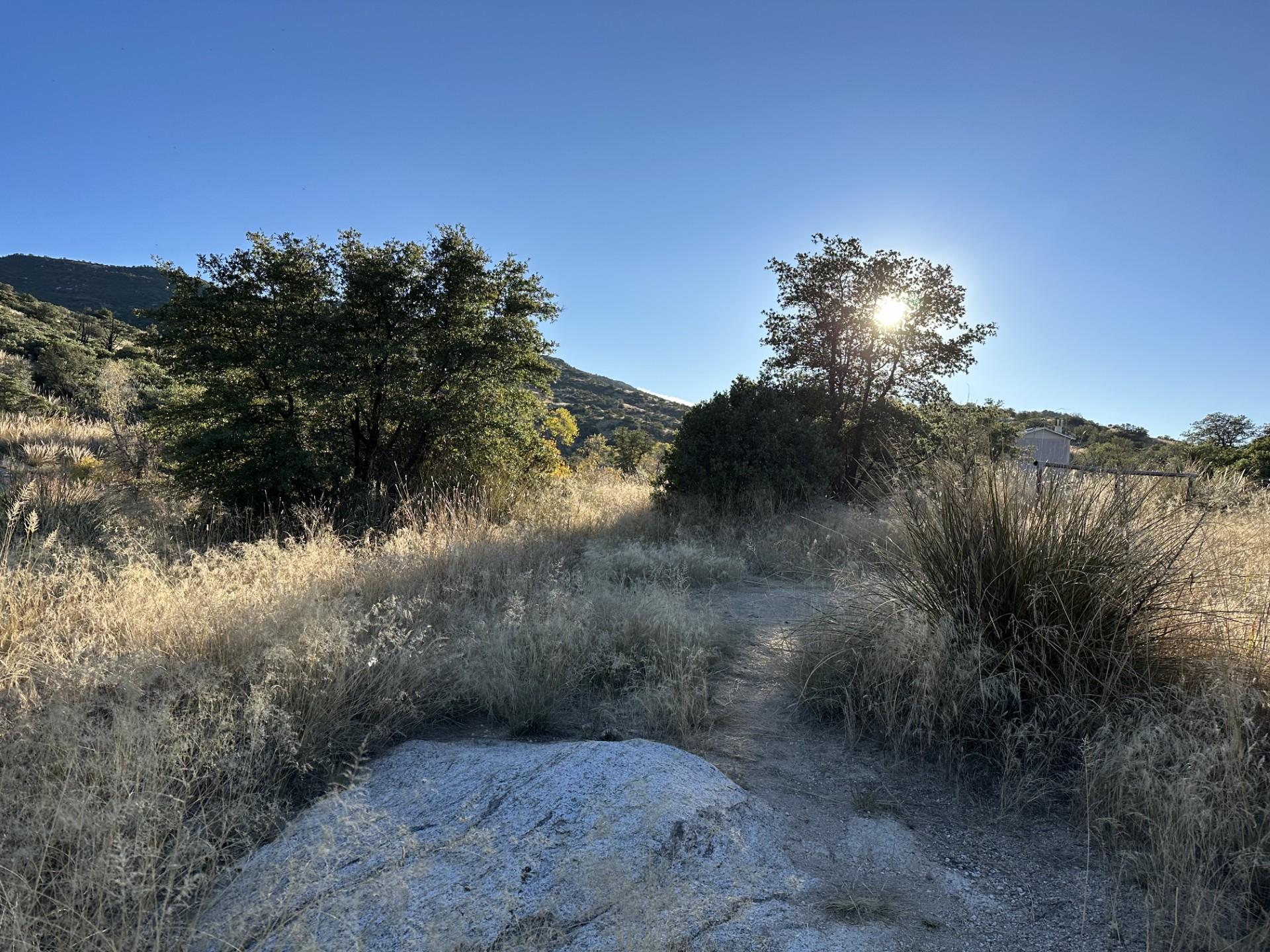 Douglas Spring photo