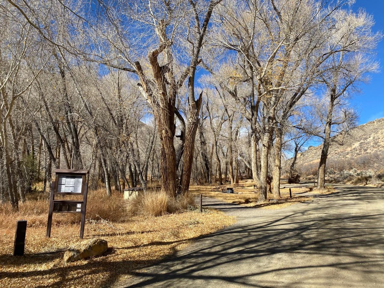 Dry Gulch Campground photo
