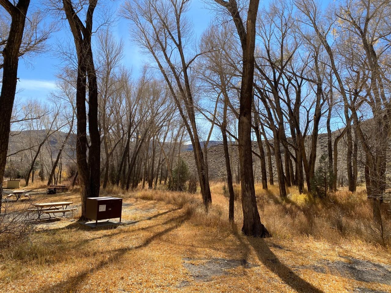 Dry Gulch Campground photo 2