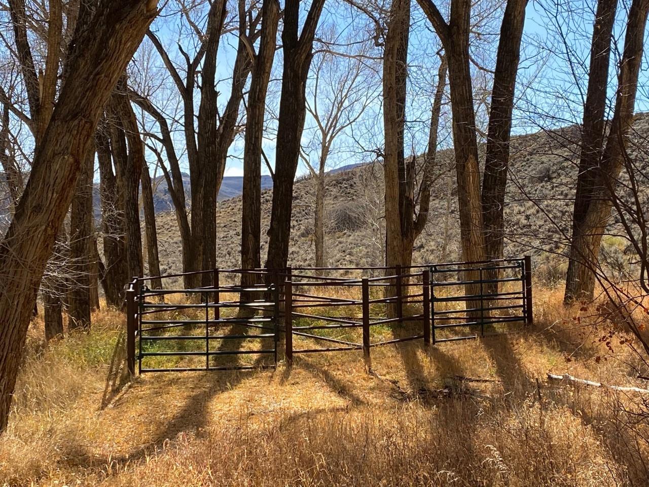 Dry Gulch Campground photo 3
