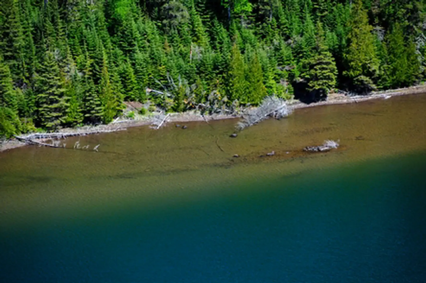 Duncan Bay Campground photo