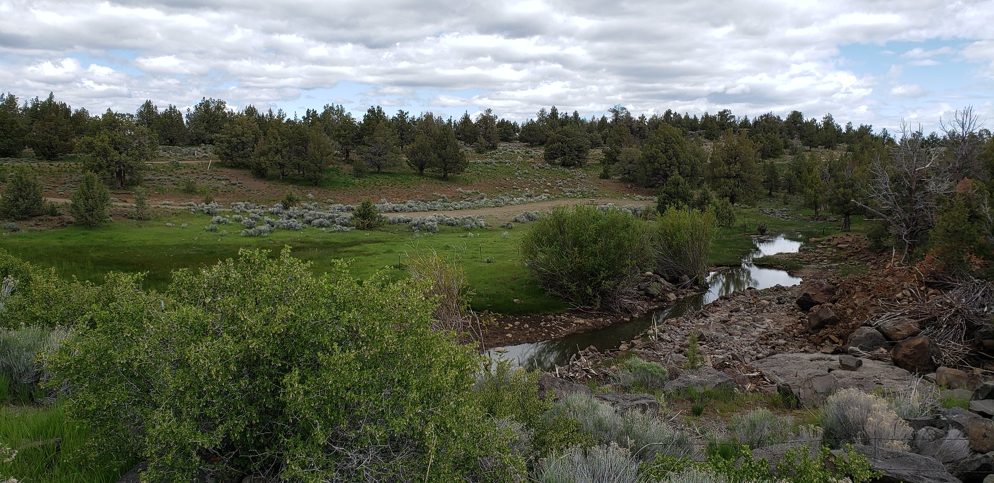 Duncan Reservoir Campground photo