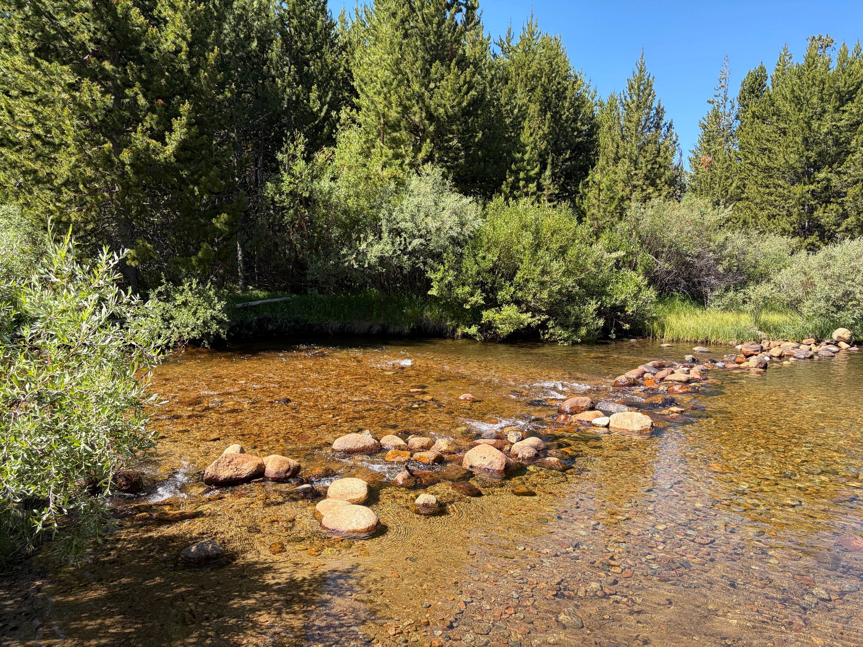 Dutch Joe Campground photo 3