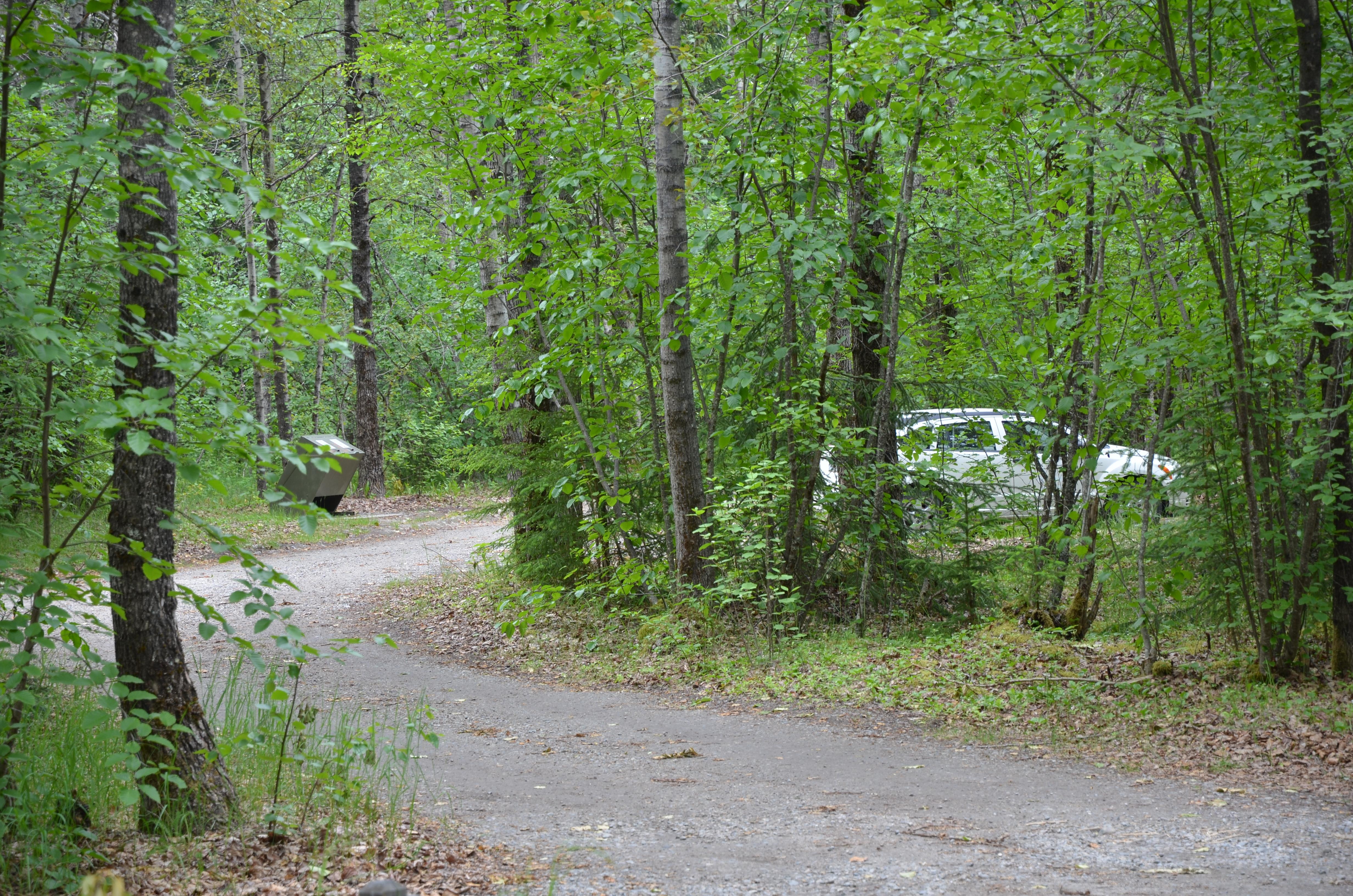 Dyea Campground photo