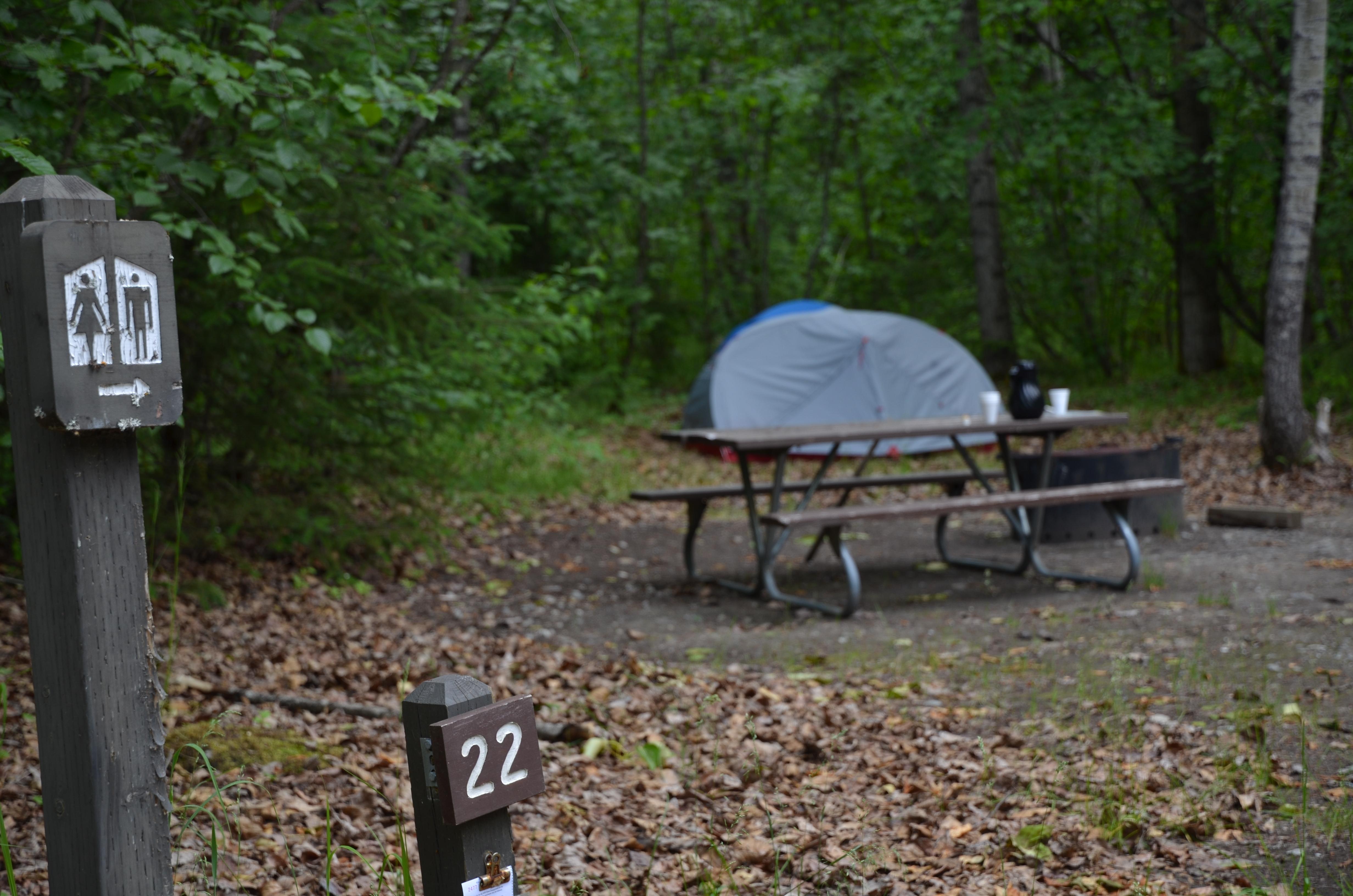 Dyea Campground photo 2