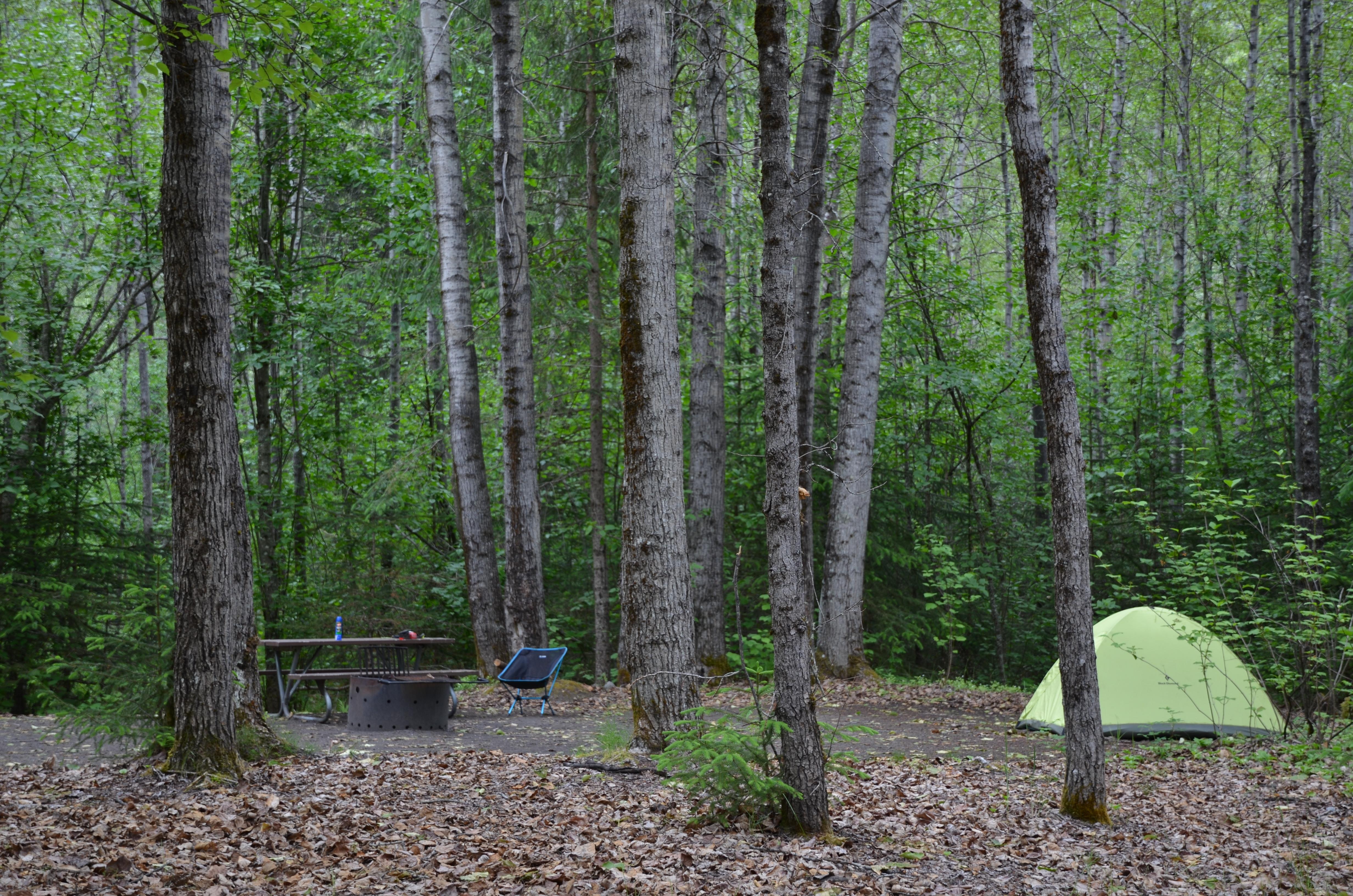 Dyea Campground photo 3