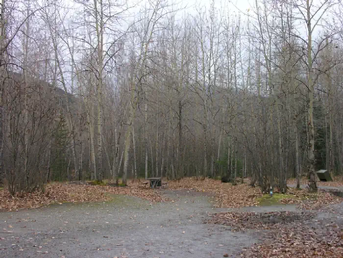 Dyea Campground photo 5