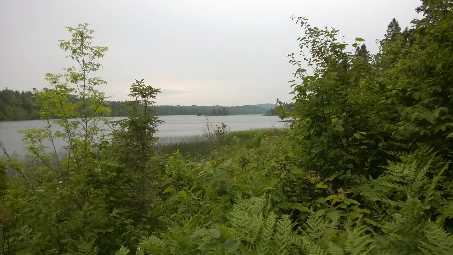 East Chickenbone Campground photo