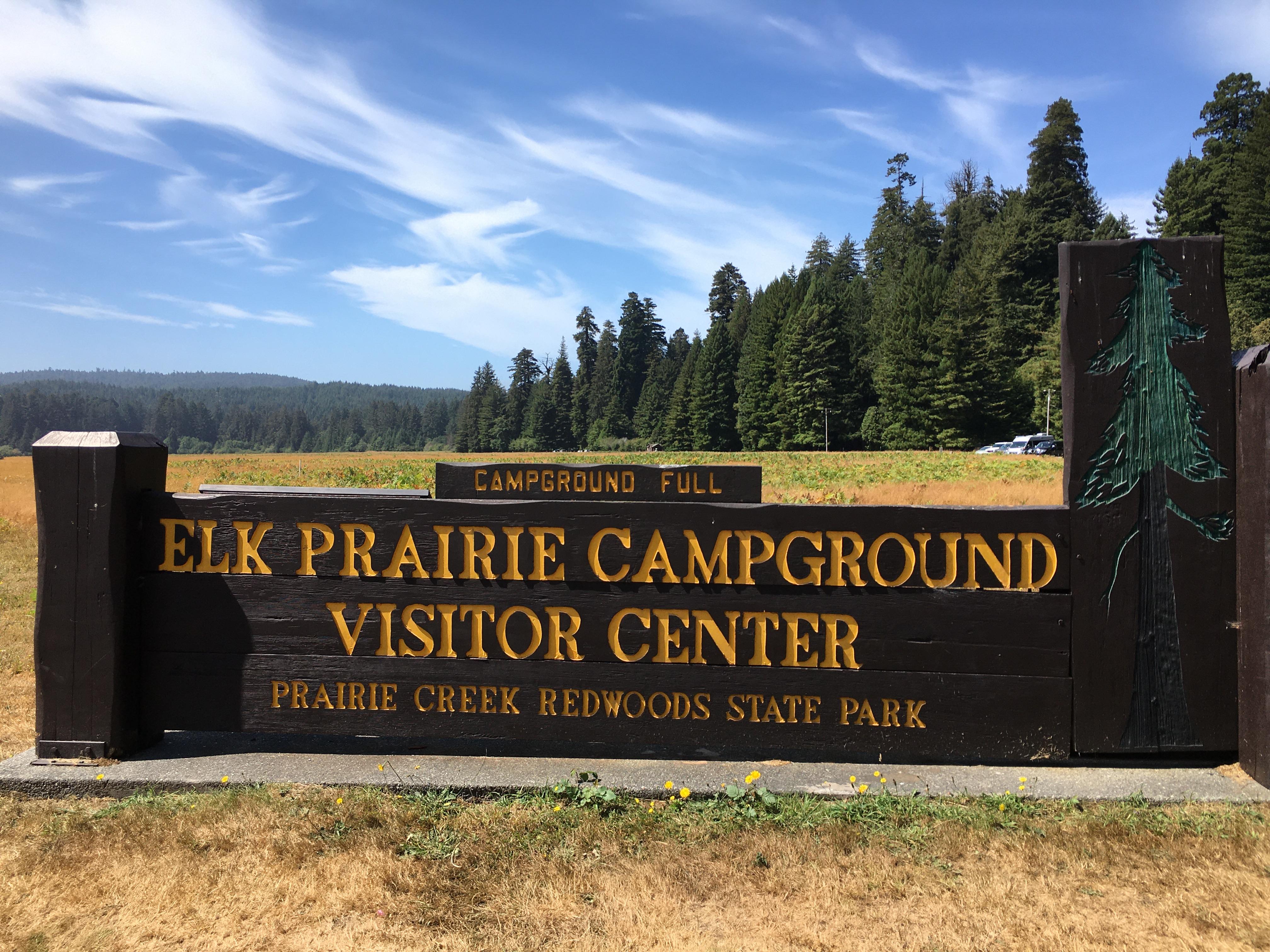 Elk Prairie Campground - Prairie Creek Redwoods State Park photo