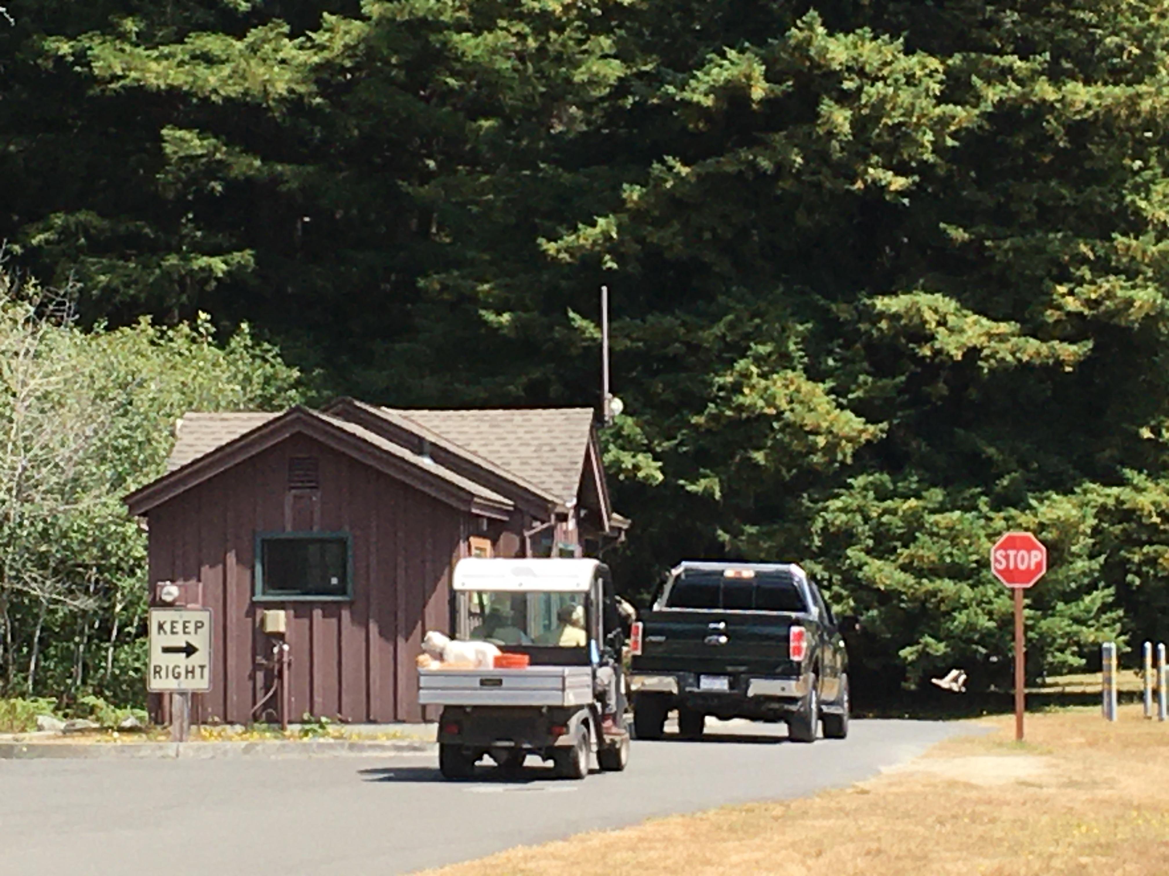 Elk Prairie Campground - Prairie Creek Redwoods State Park photo 2