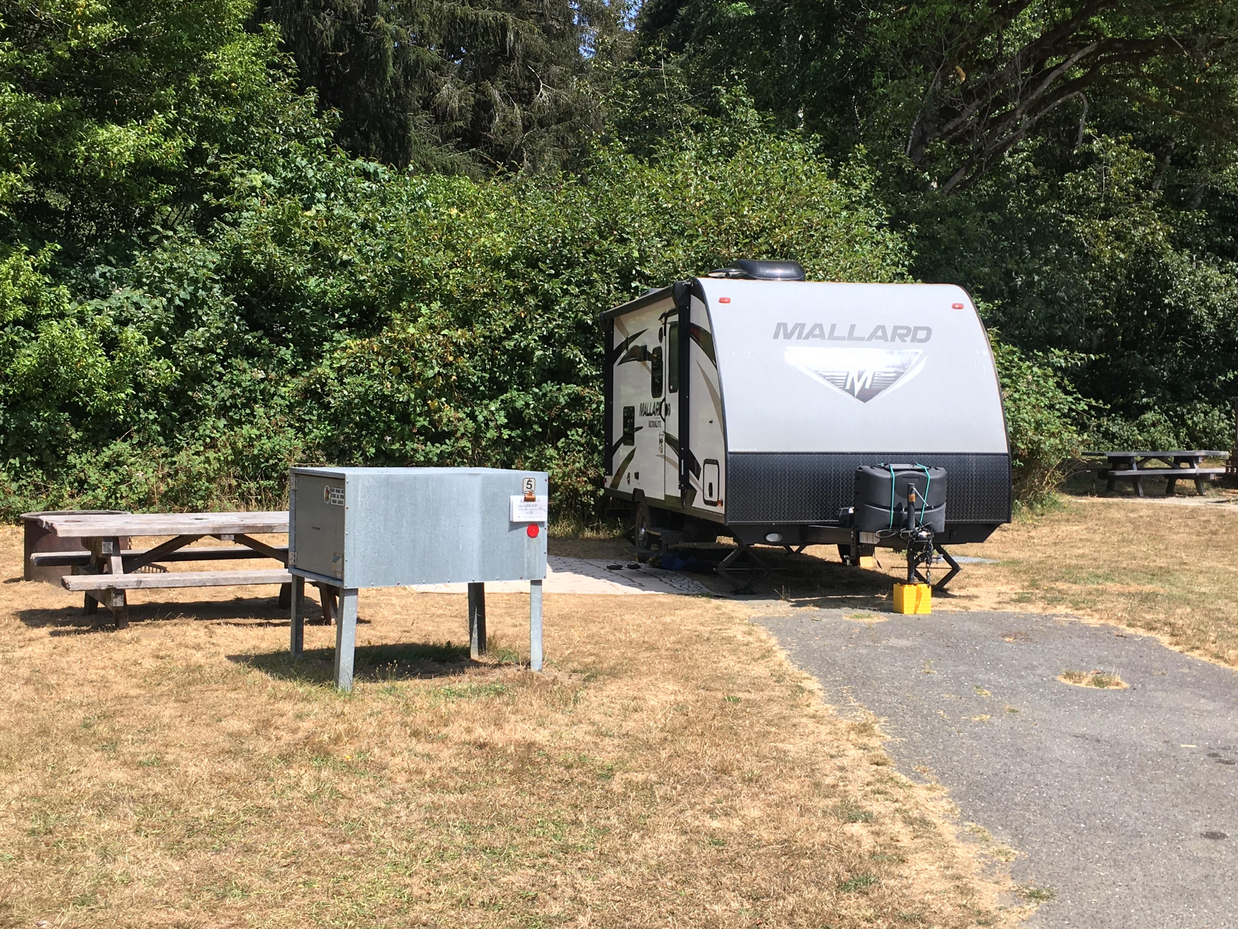 Elk Prairie Campground - Prairie Creek Redwoods State Park photo 5