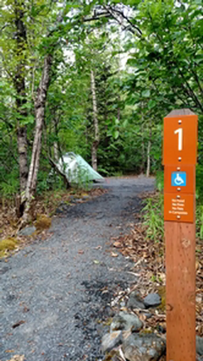 Exit Glacier Campground photo 3