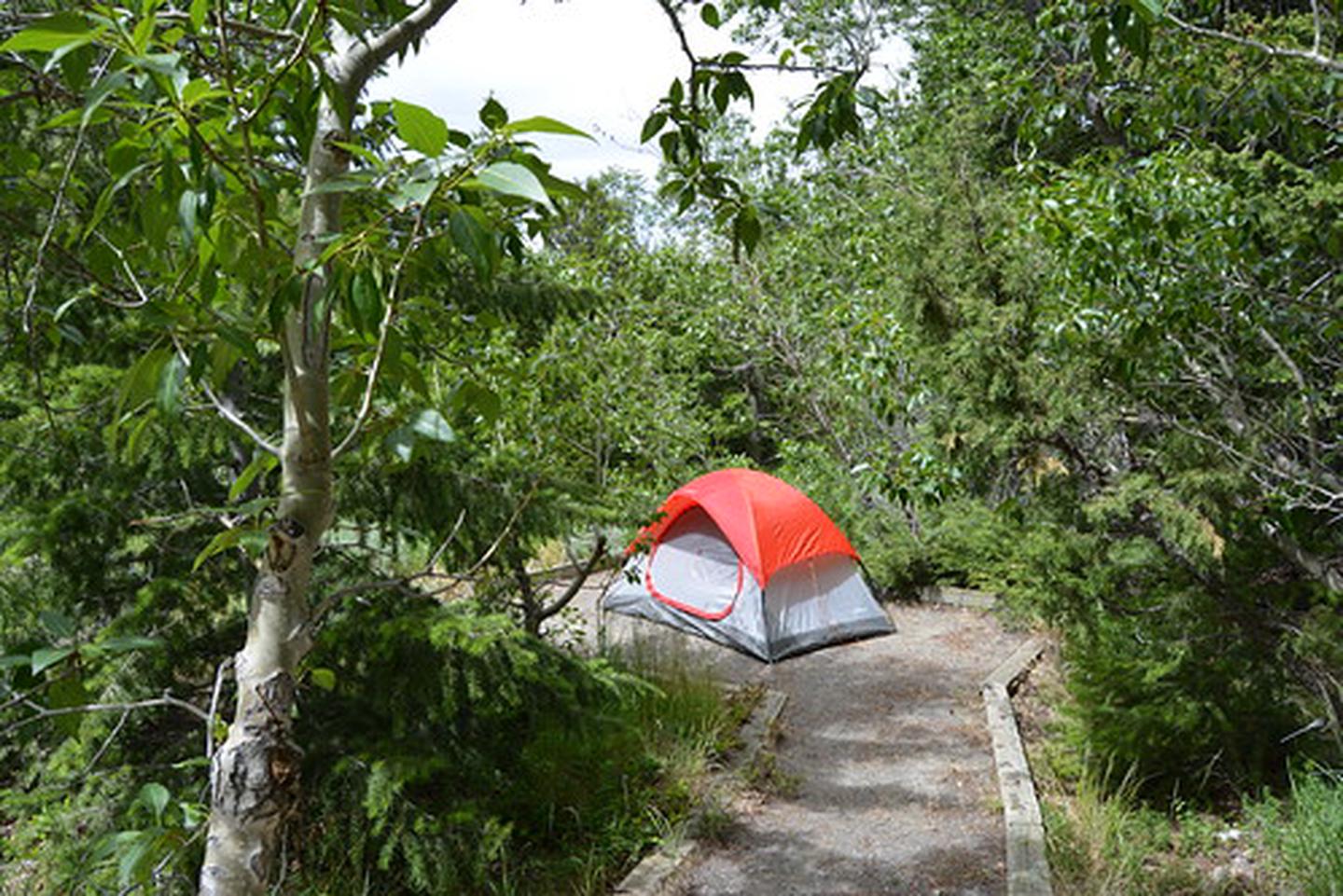 Five Springs Falls Campground photo