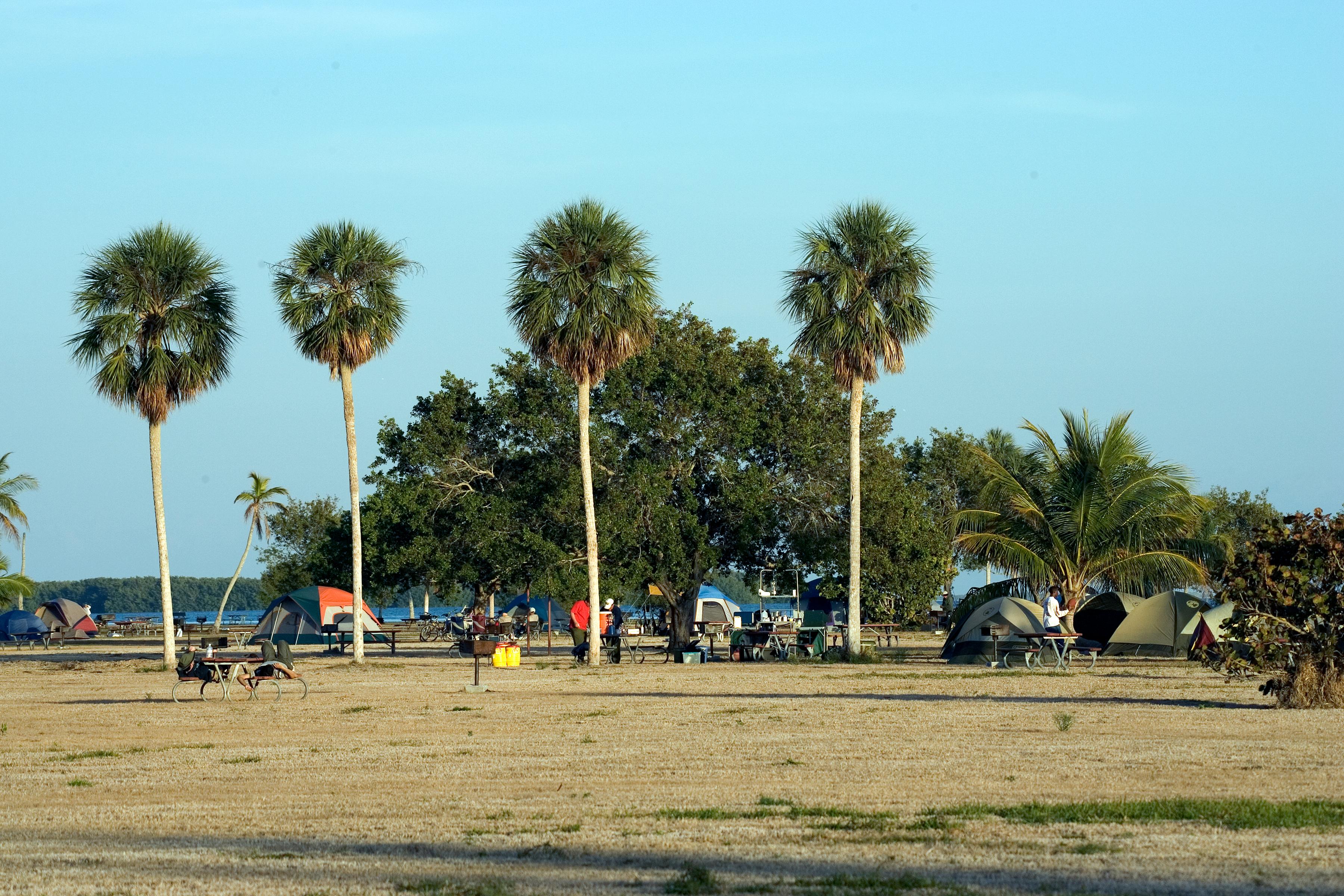 Flamingo Campground photo