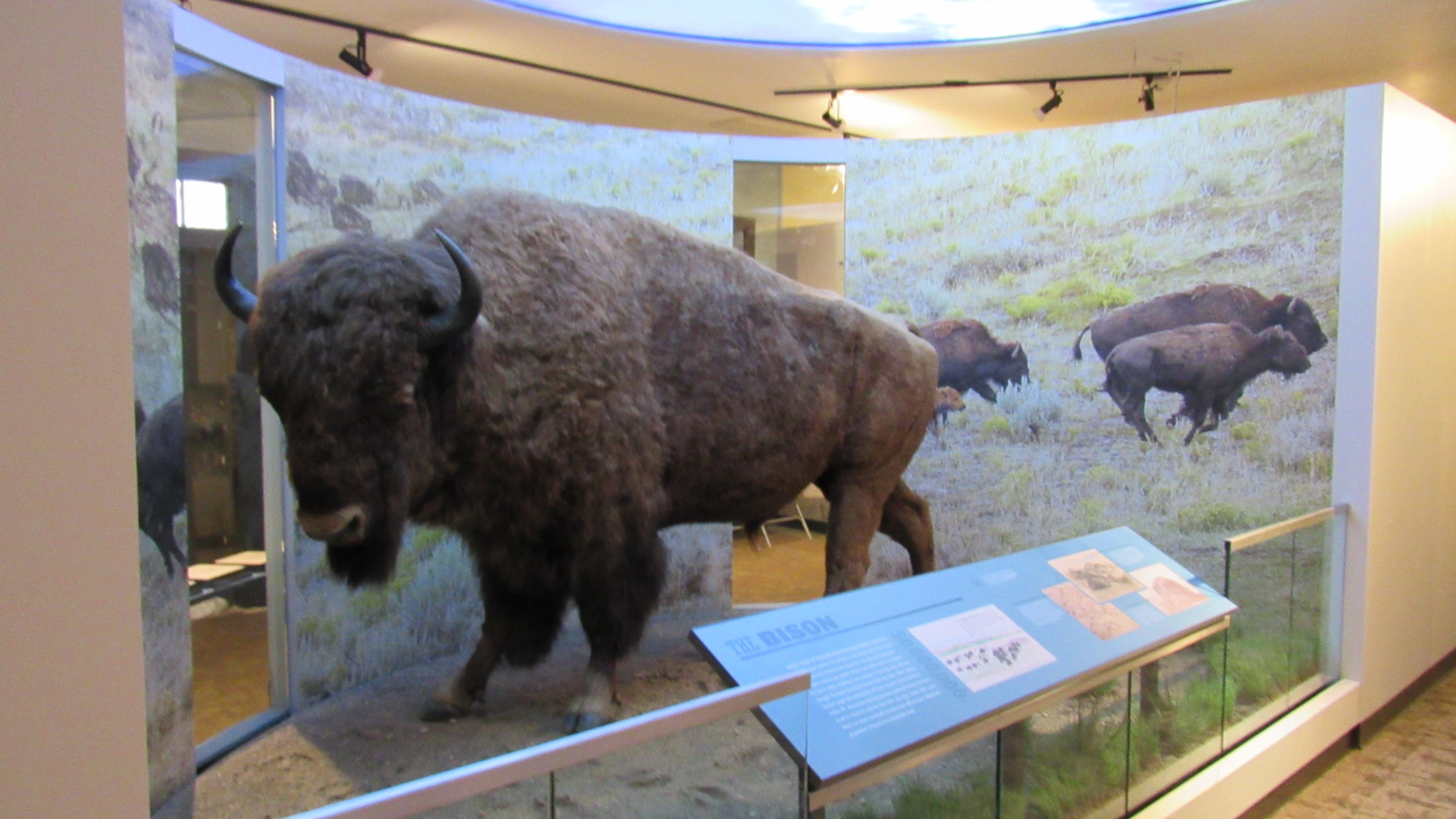 Fort Larned Visitor Center photo 3