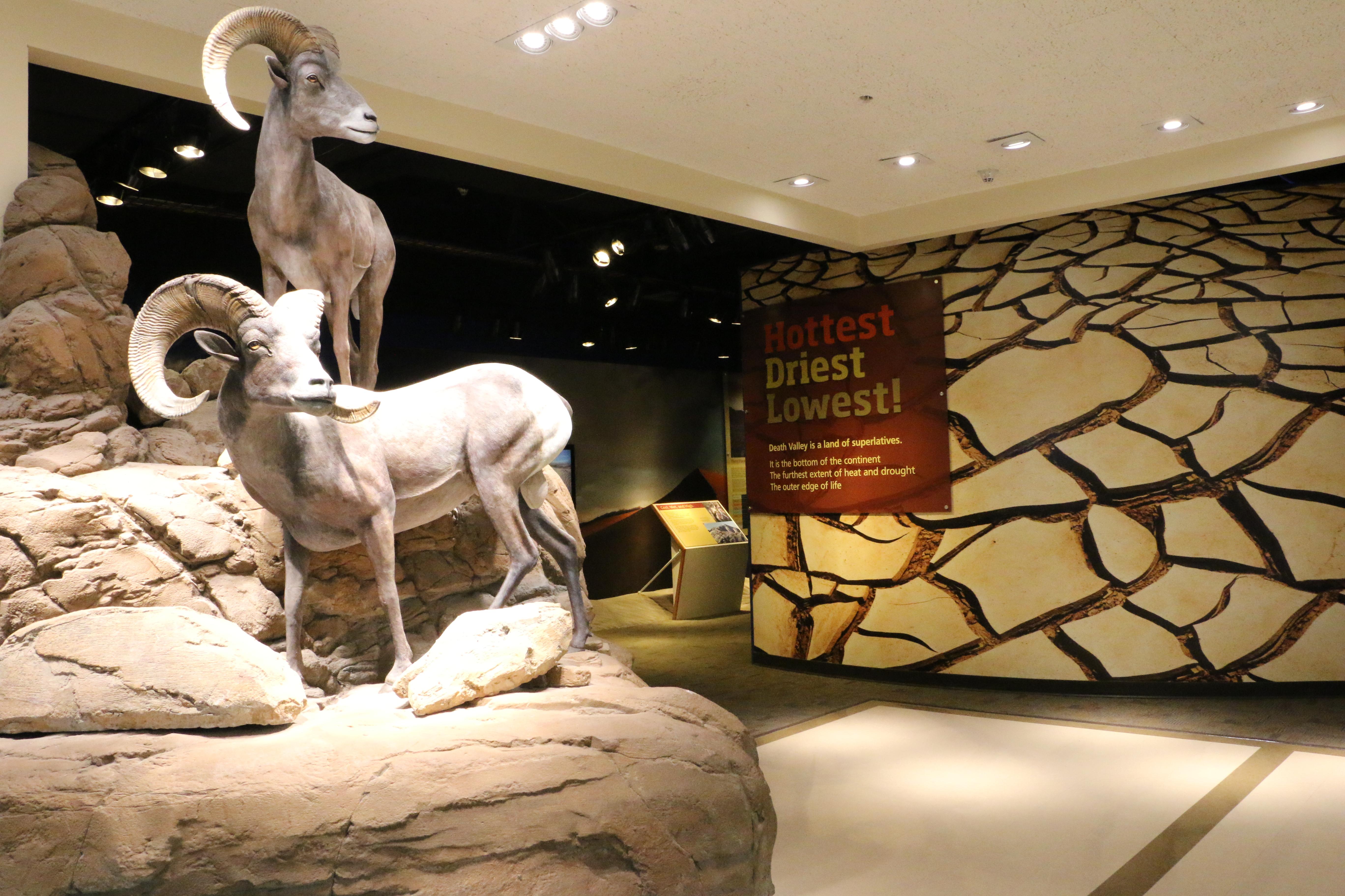 Furnace Creek Visitor Center photo 3