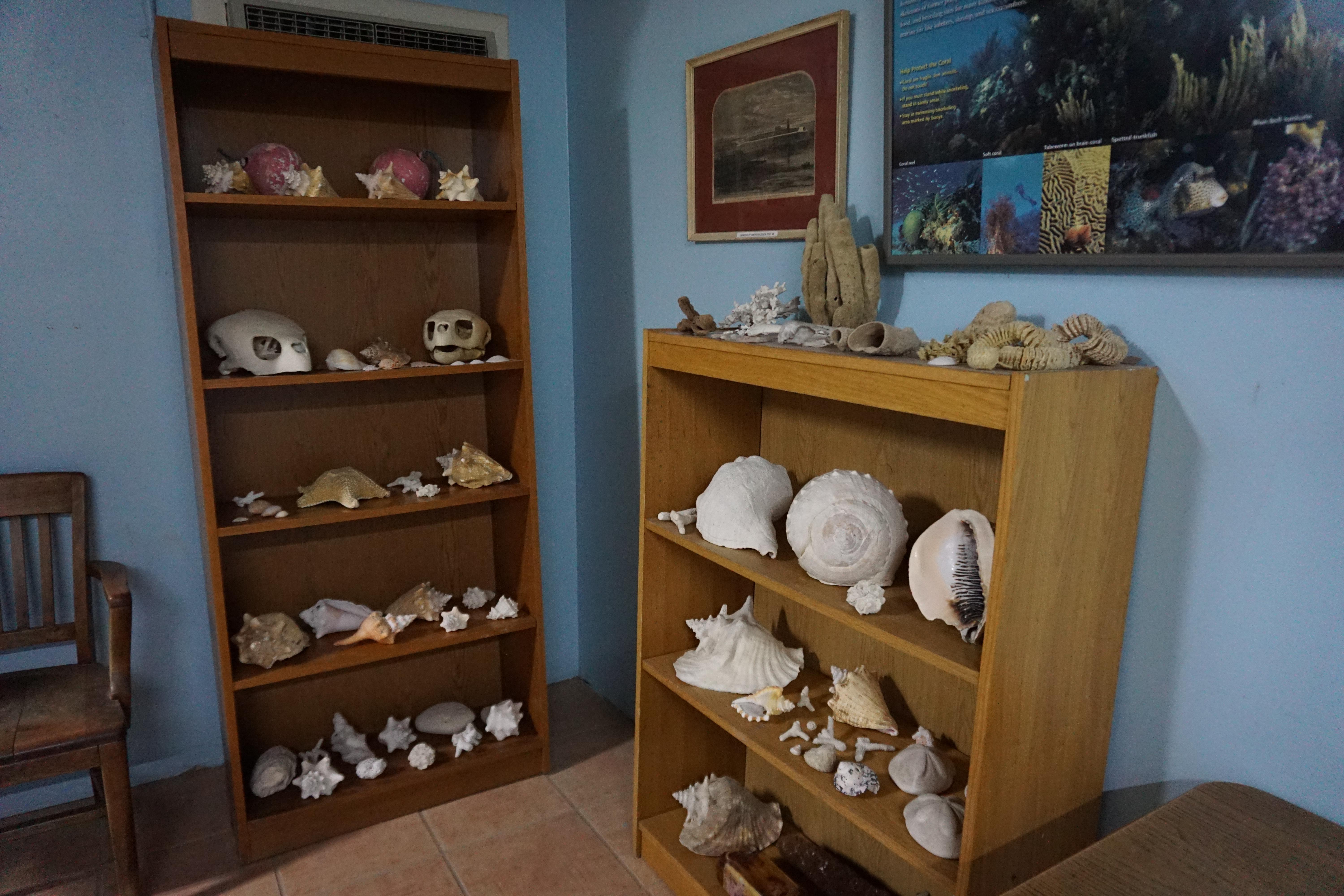 Garden Key Visitor Center photo 3