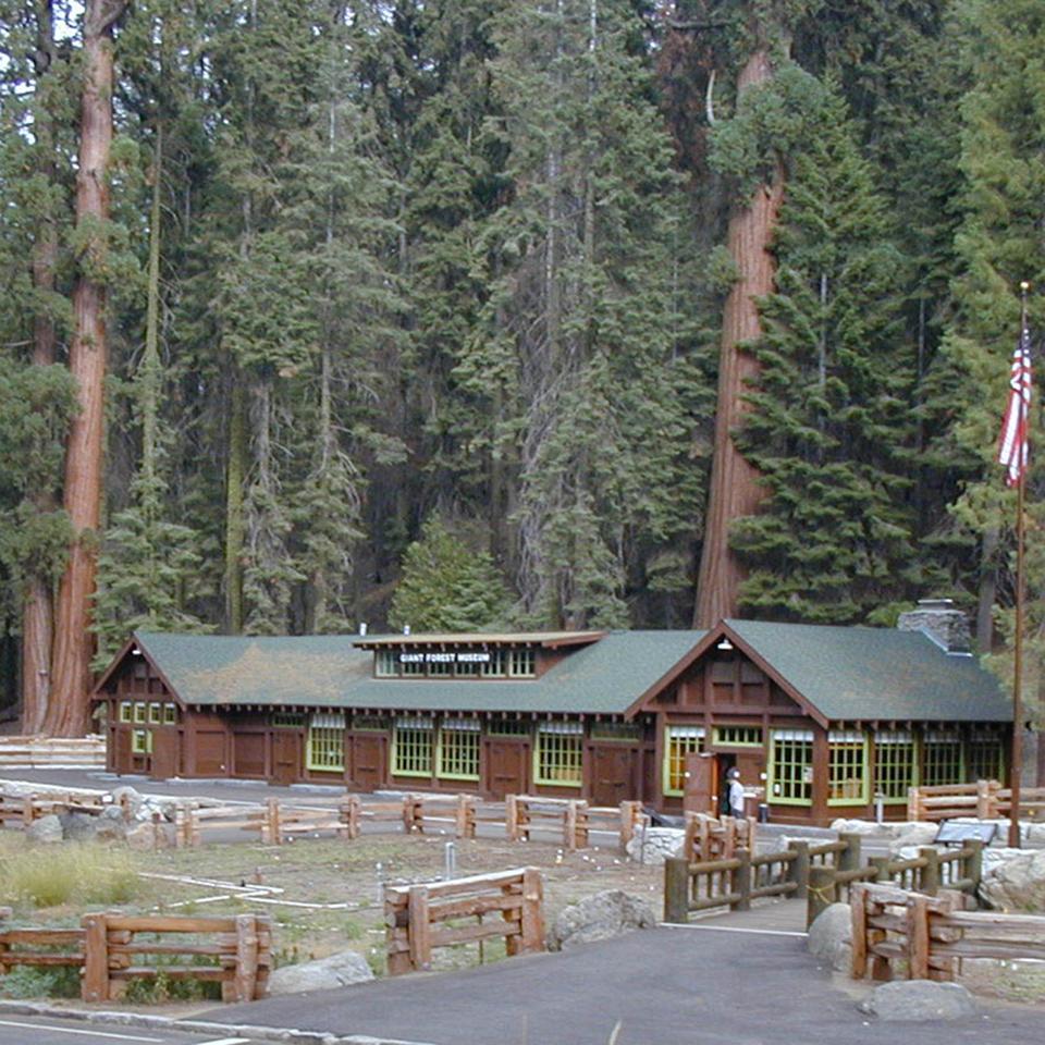 Giant Forest Museum photo