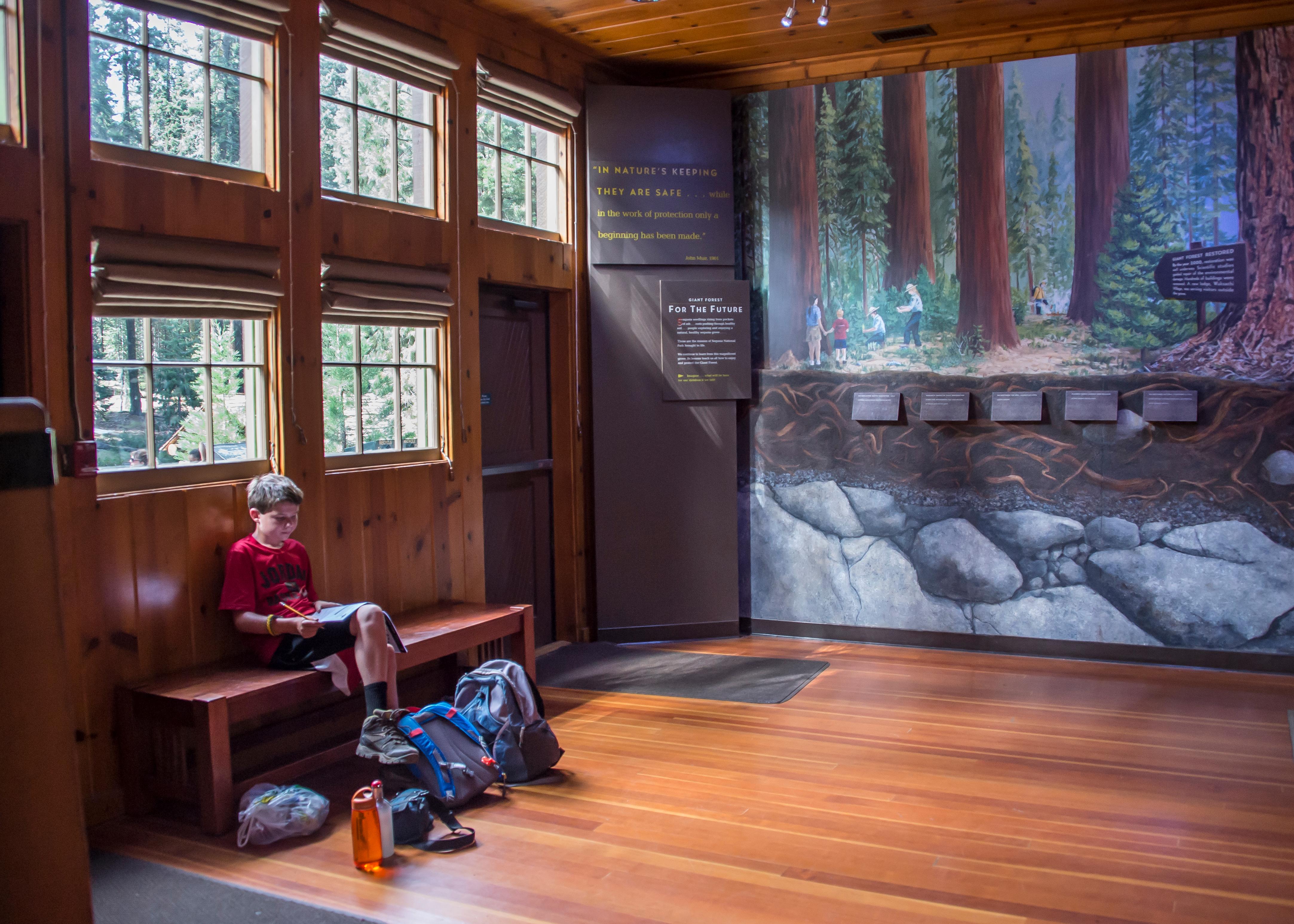 Giant Forest Museum photo 4