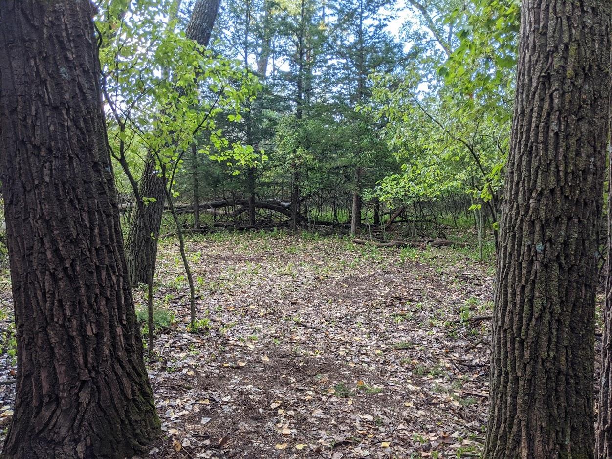 Goat Island Primitive Camping photo 2