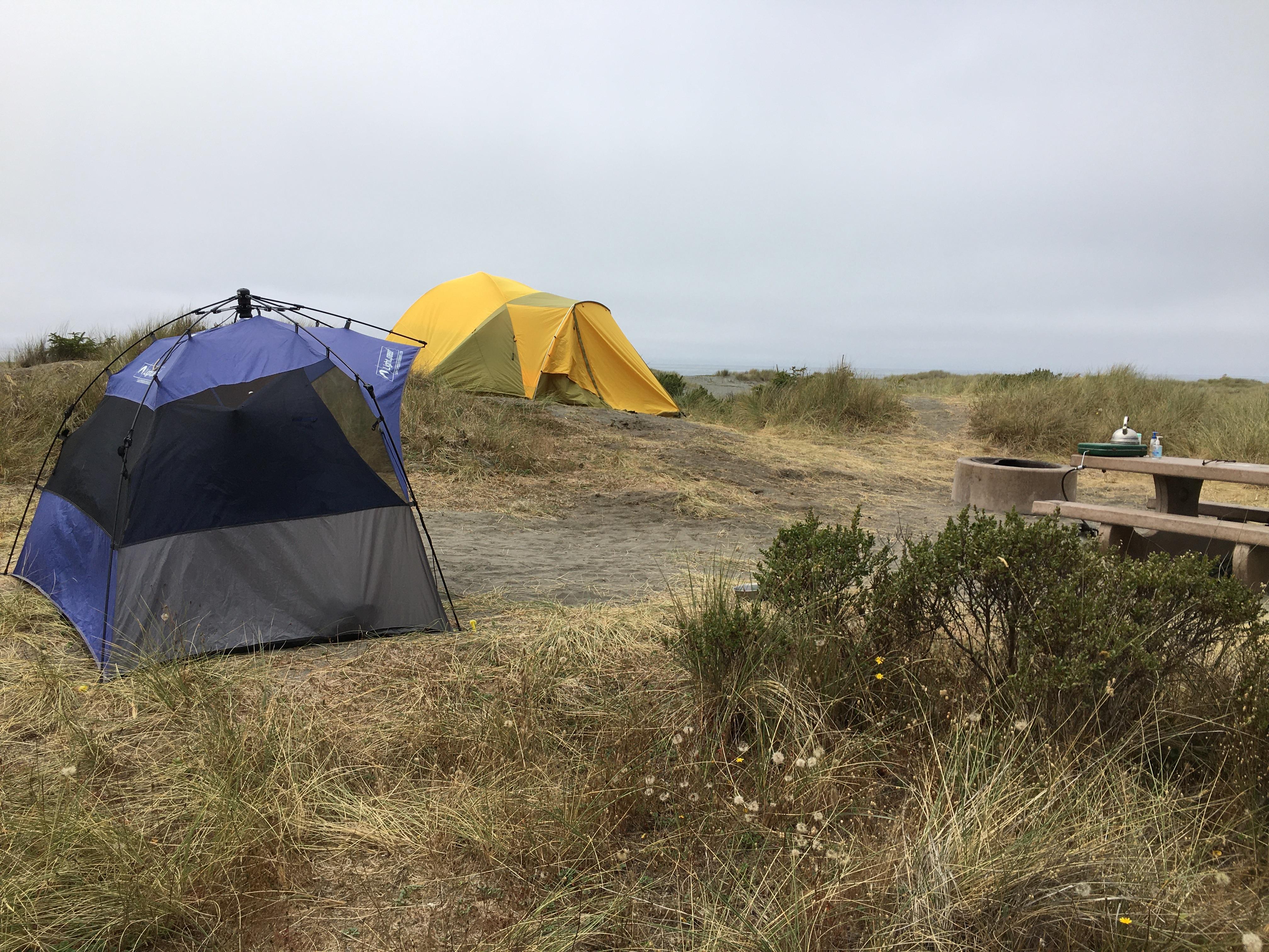 Gold Bluffs Beach Campground - Prairie Creek Redwoods State Park photo