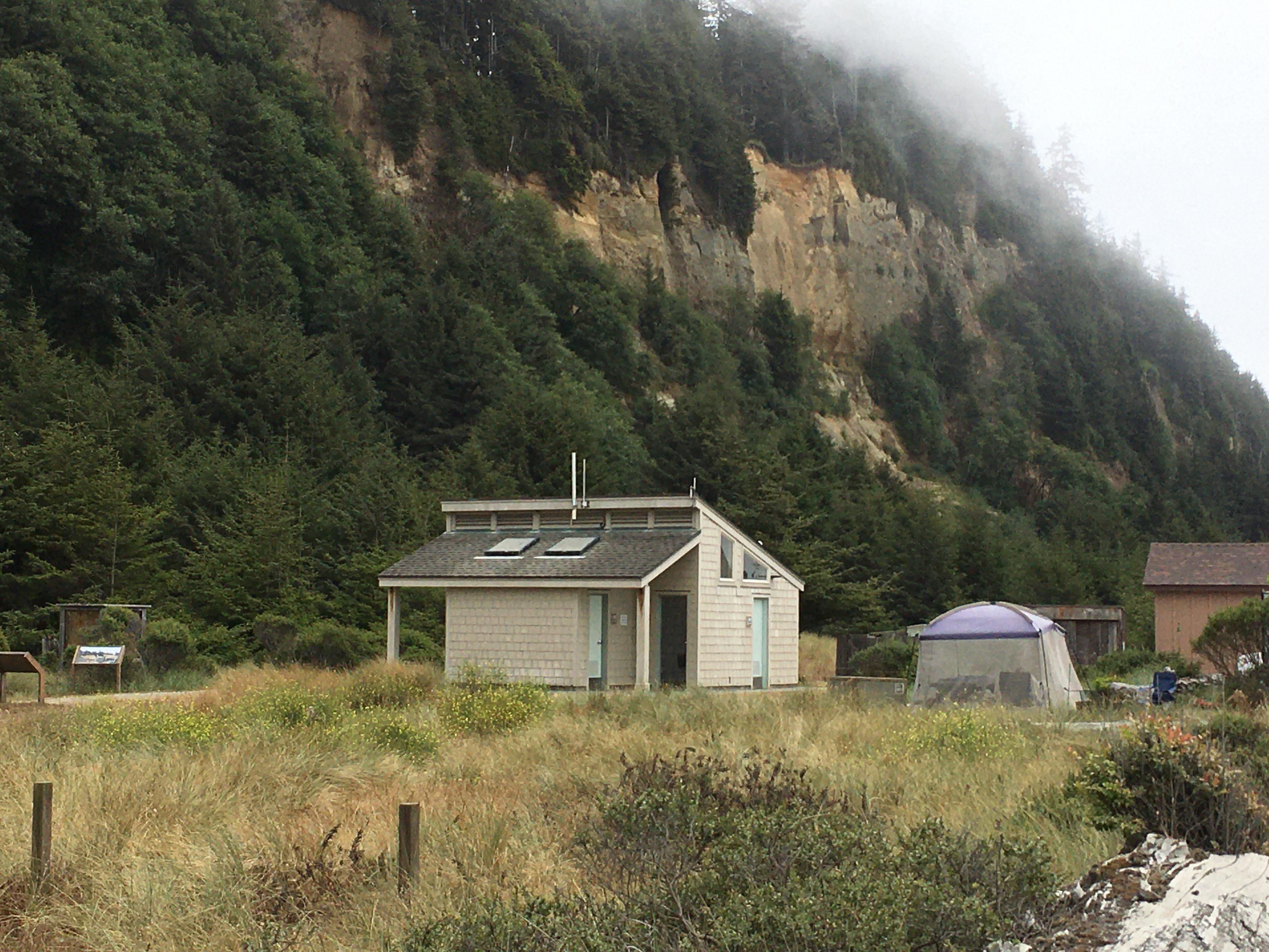 Gold Bluffs Beach Campground - Prairie Creek Redwoods State Park photo 2