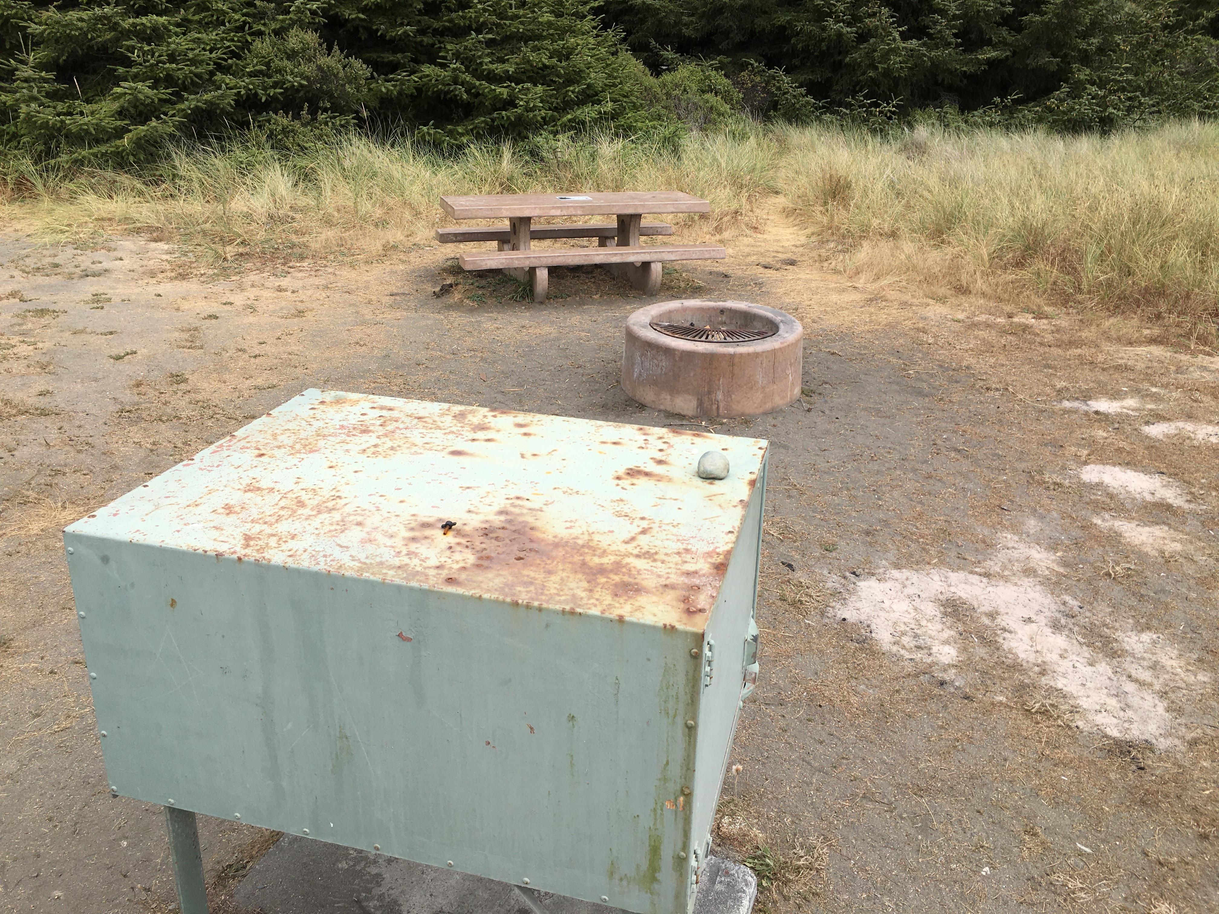 Gold Bluffs Beach Campground - Prairie Creek Redwoods State Park photo 3