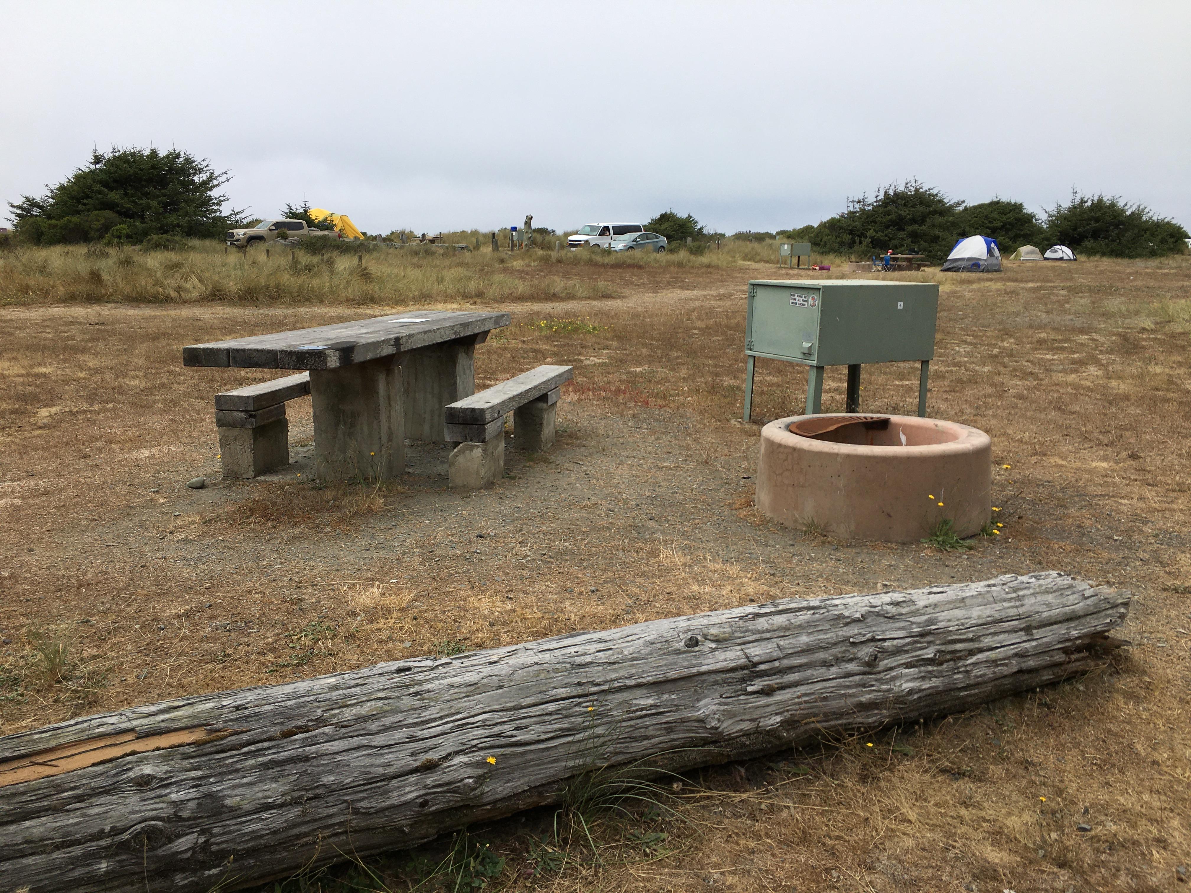 Gold Bluffs Beach Campground - Prairie Creek Redwoods State Park photo 4