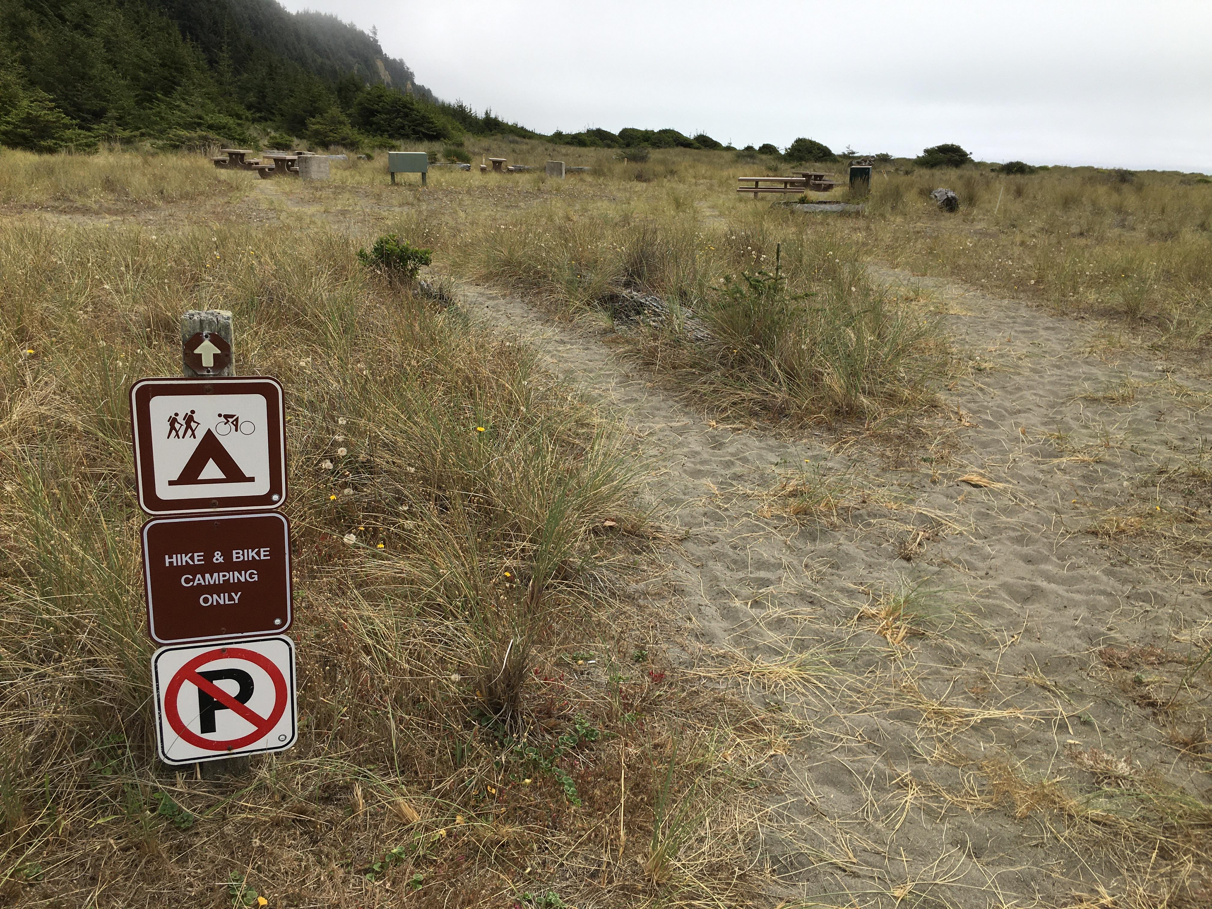 Gold Bluffs Beach Campground - Prairie Creek Redwoods State Park photo 5