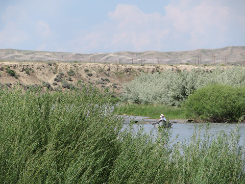 Golden Currant Campground photo