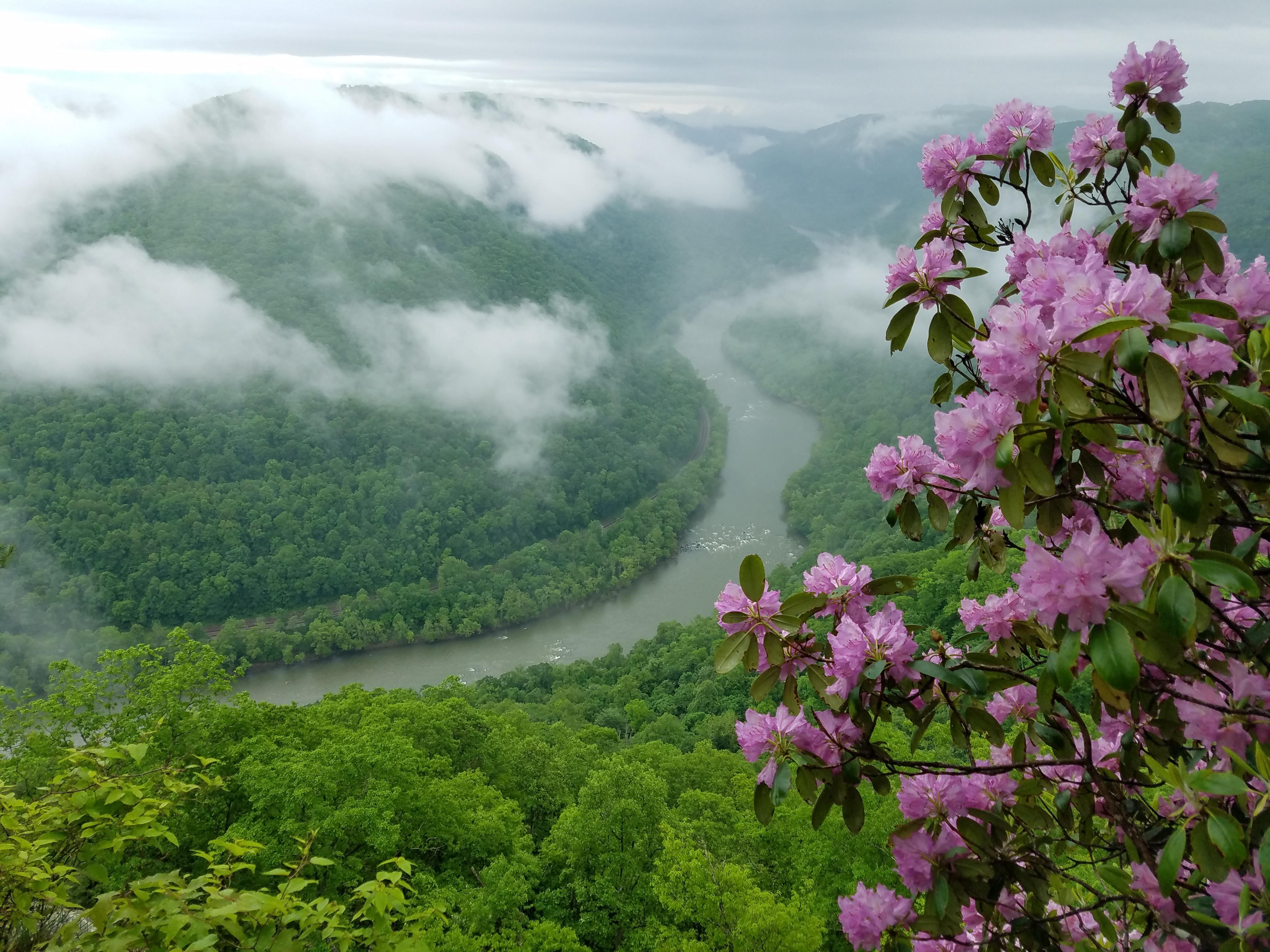 Grandview Visitor Center photo 2
