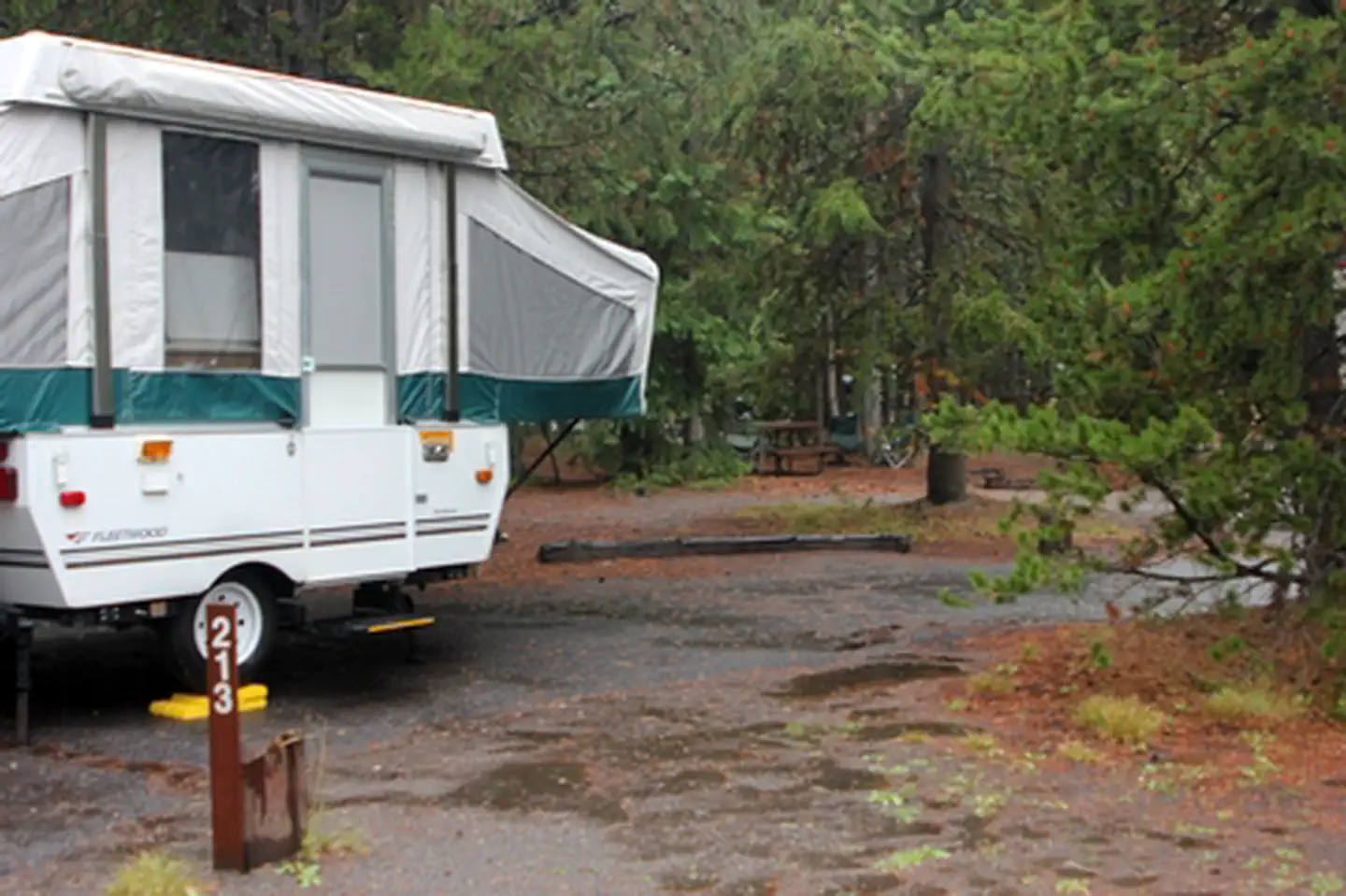 Grant Village Campground photo
