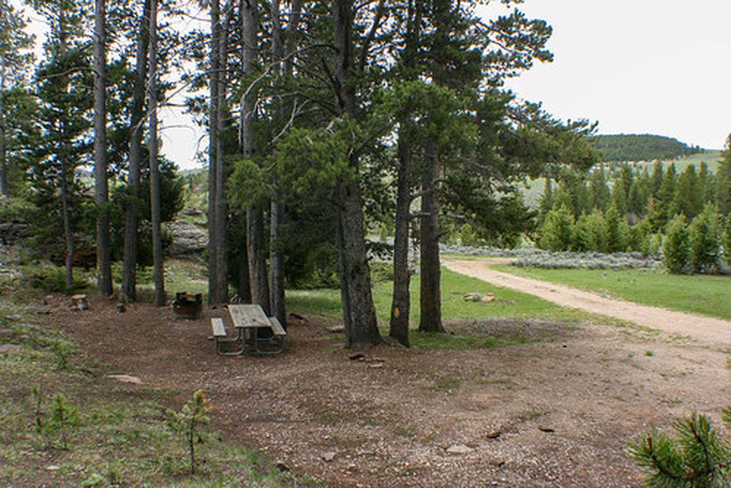 Grave Springs Campground photo