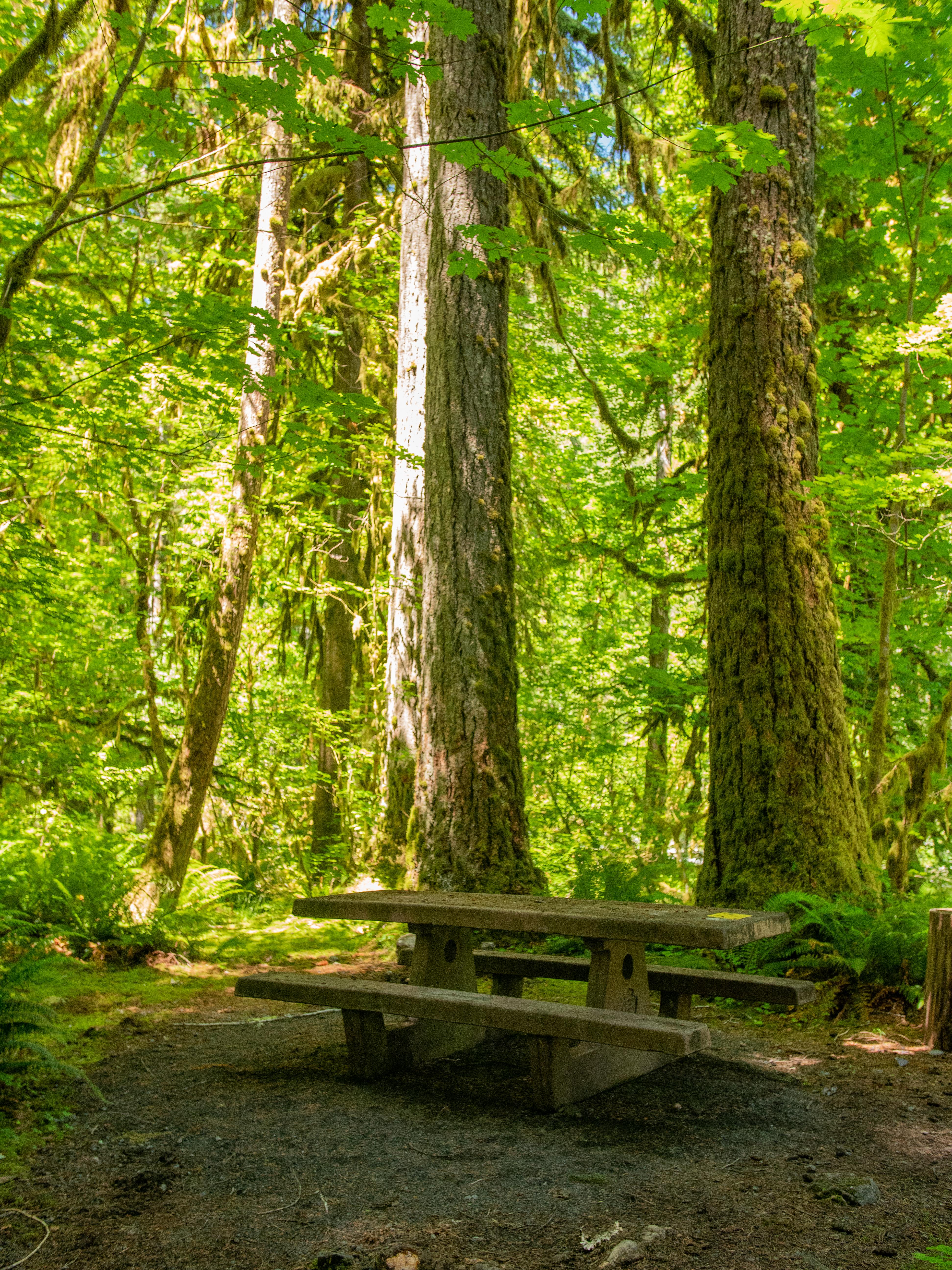 Graves Creek Campground photo