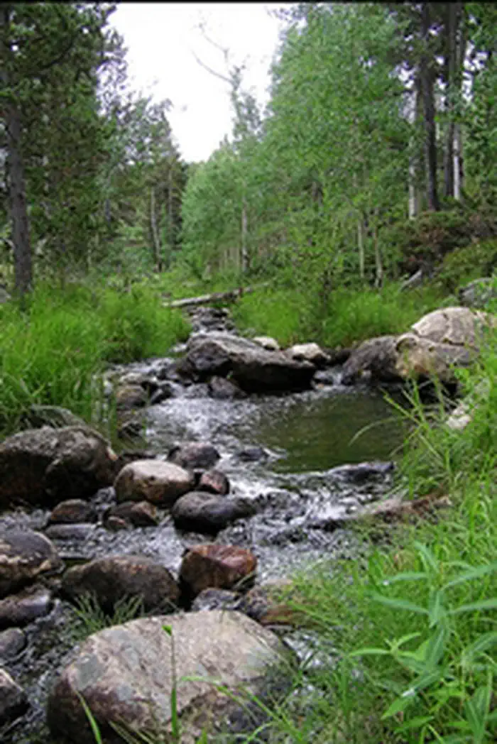 Green Mountain photo