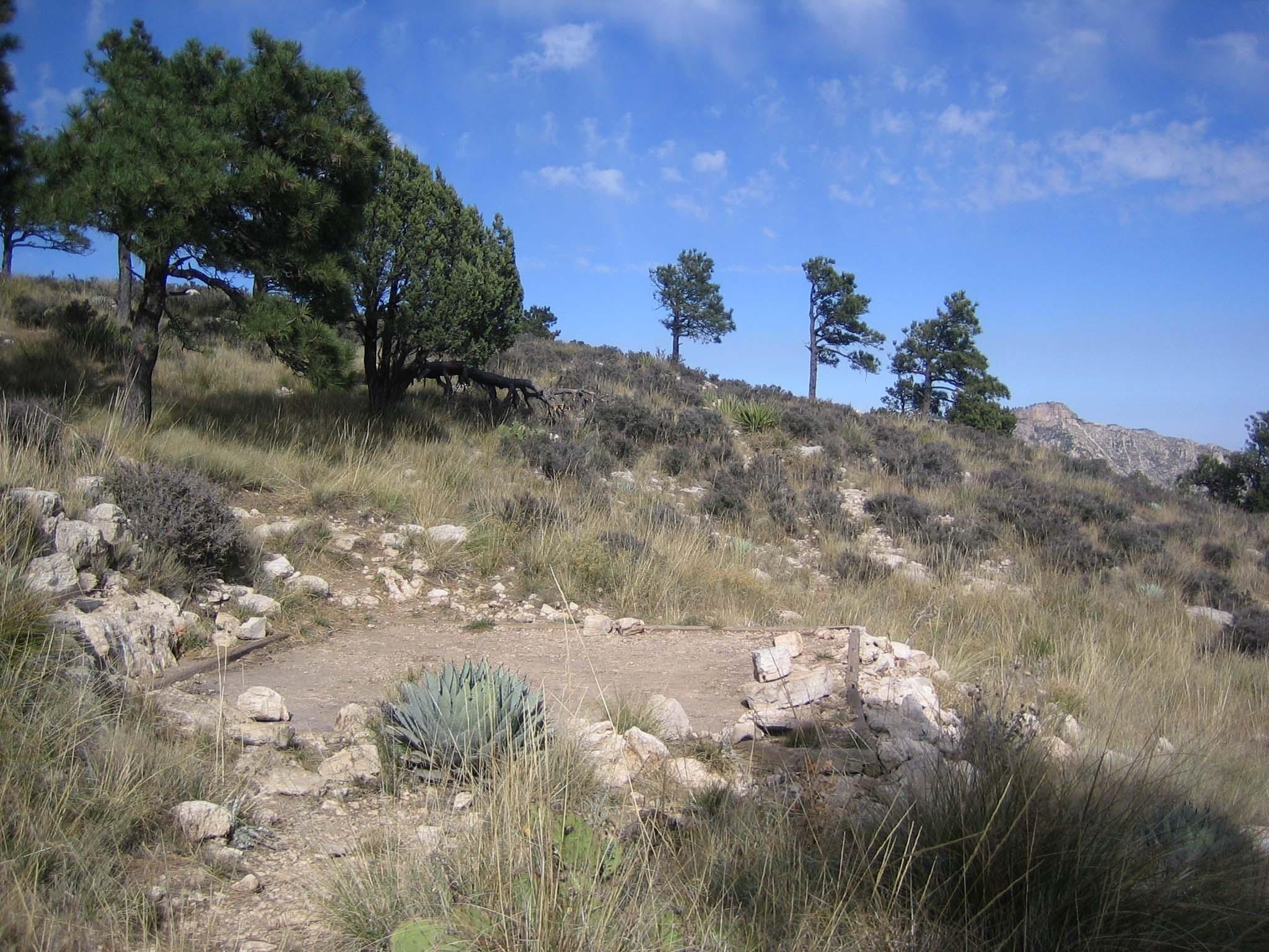 Guadalupe Peak photo 3