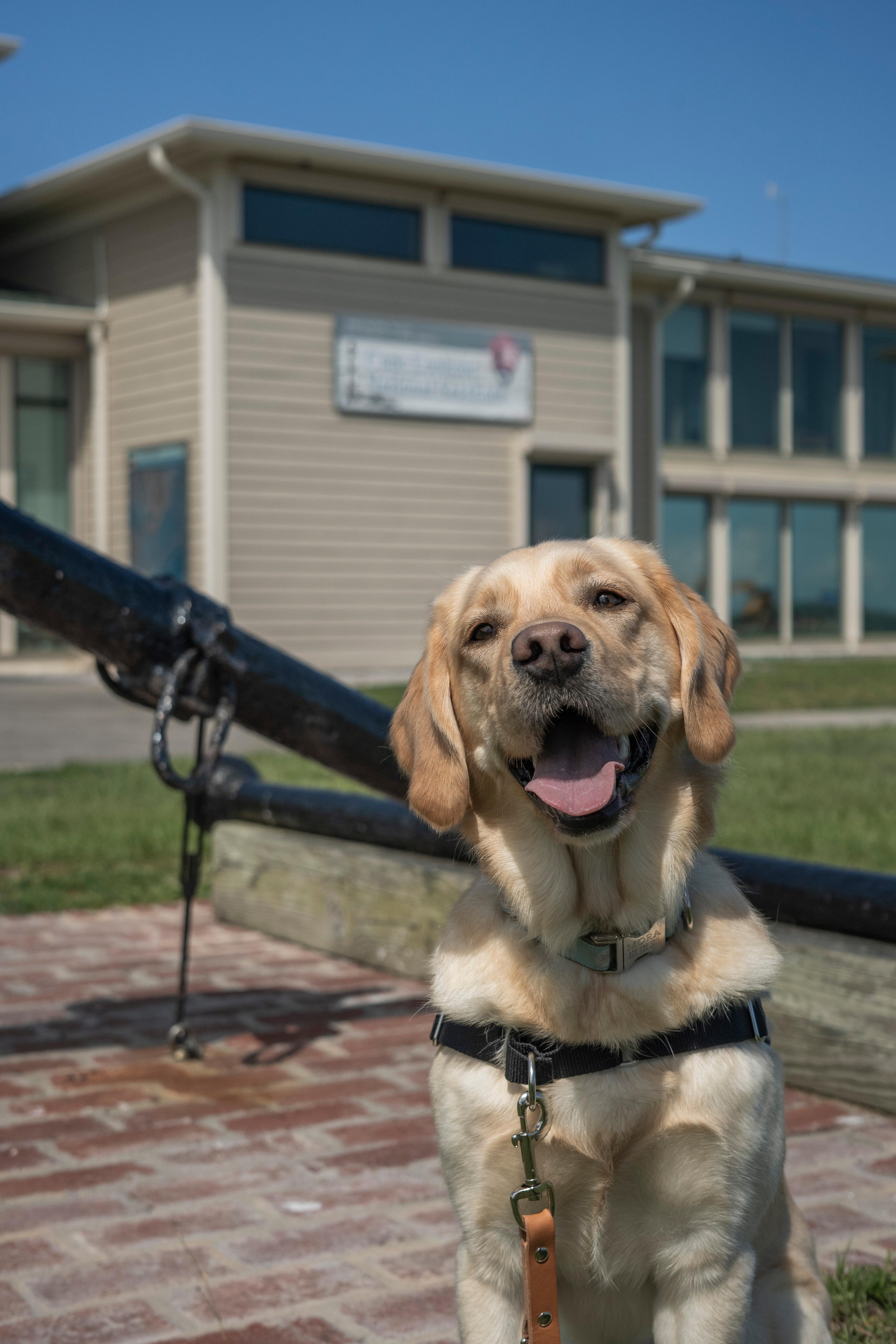 Harkers Island Visitor Center photo 3