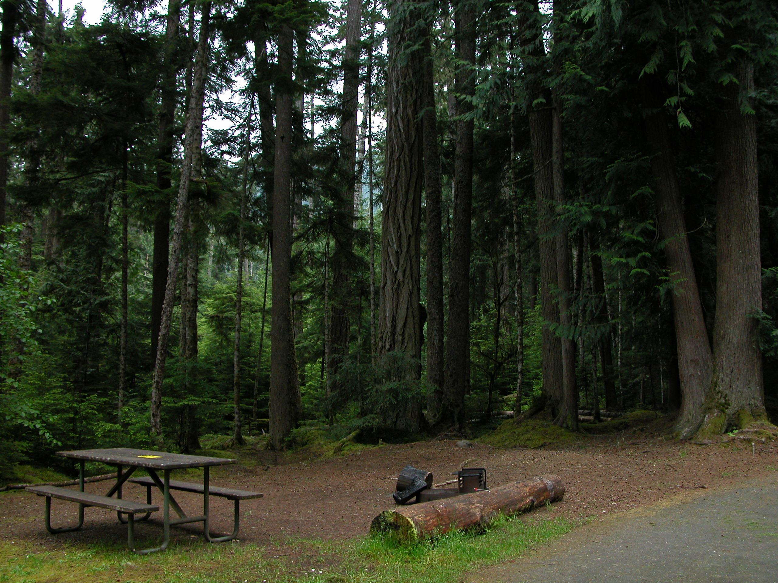 Heart O' the Hills Campground photo