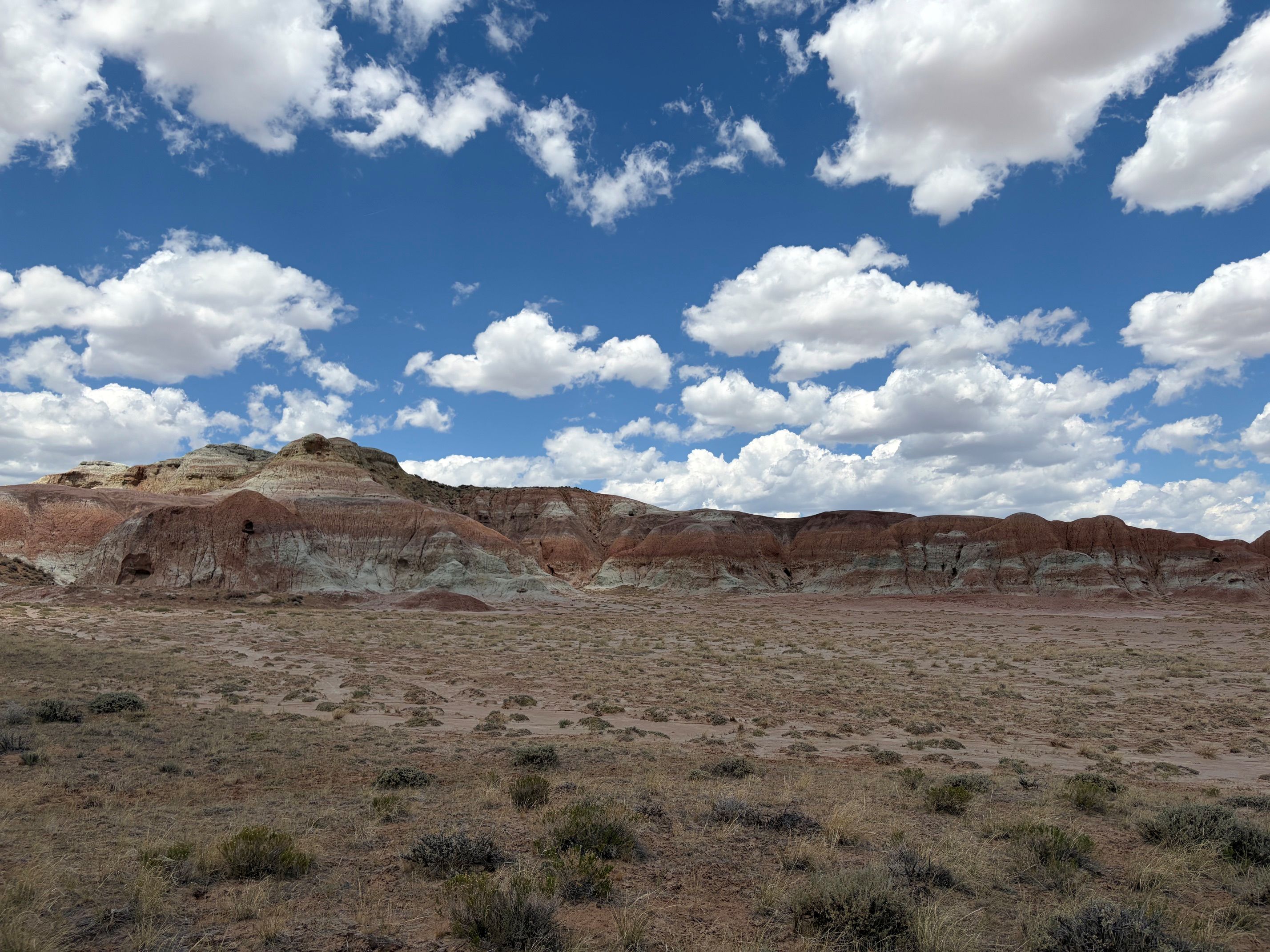 Honeycomb Buttes WSA photo 3