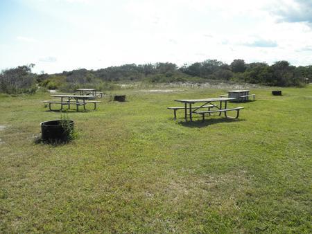 Horse camping photo 3