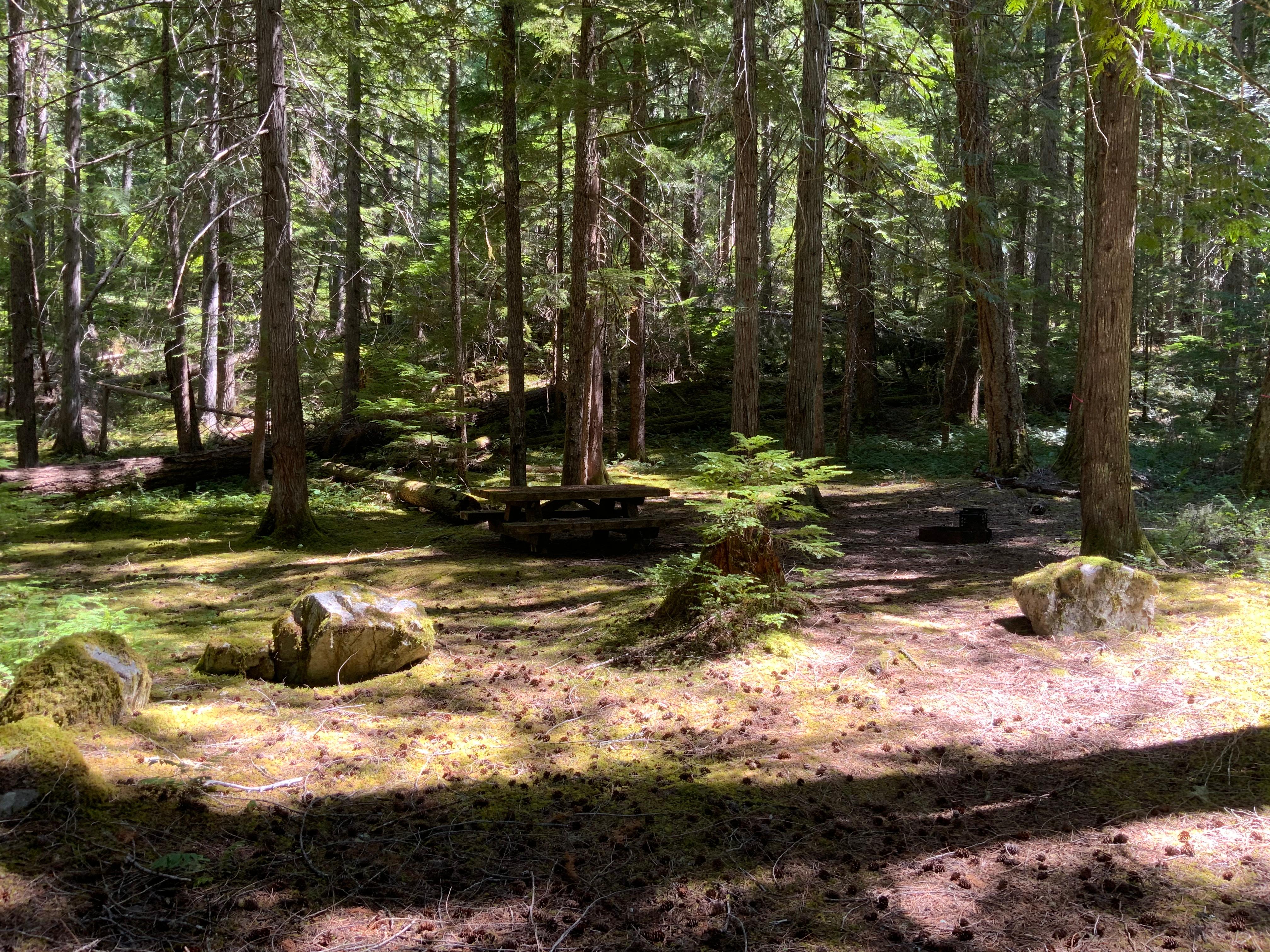 Hozomeen Campground photo